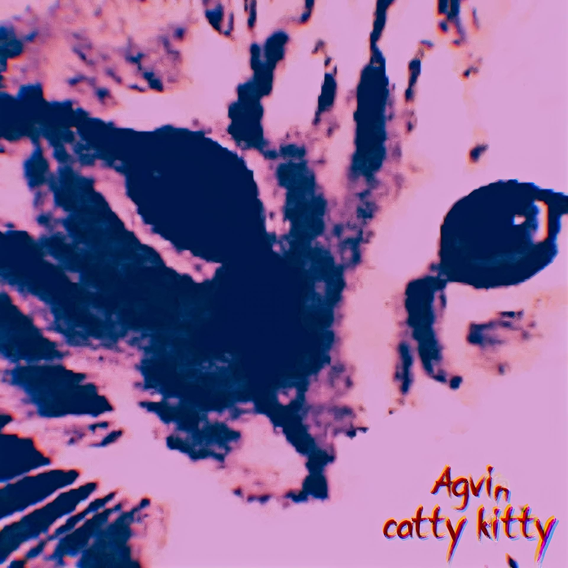 Постер альбома Catty Kitty