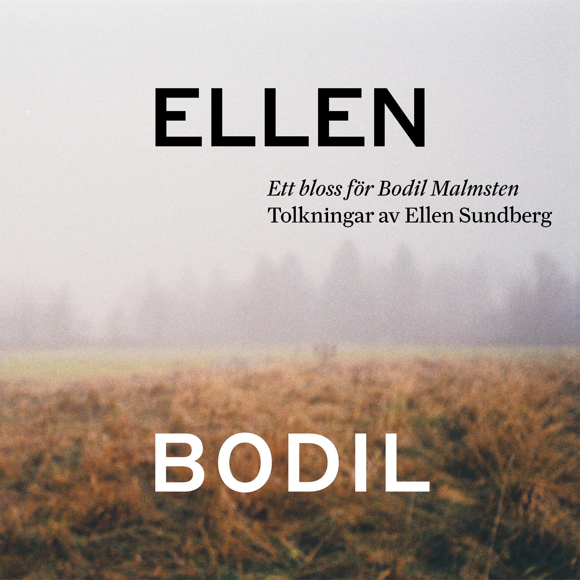 Постер альбома Ett bloss för Bodil Malmsten