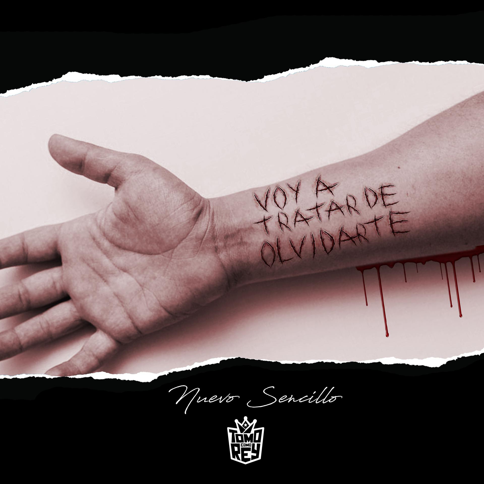 Постер альбома Voy a Tratar de Olvidarte