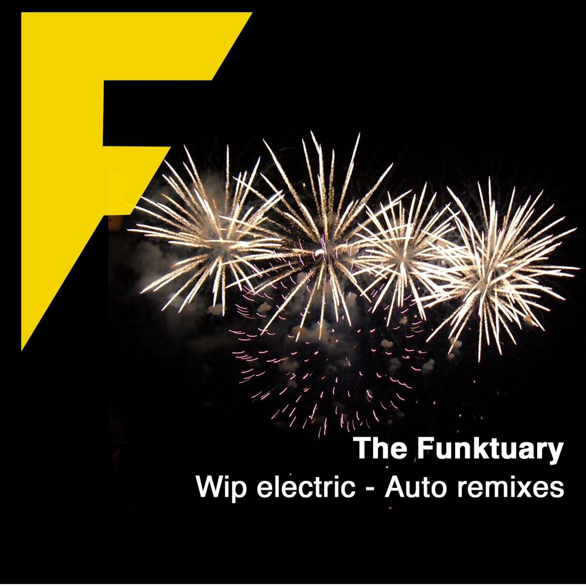 Постер альбома Wip Electric - Auto Remixes