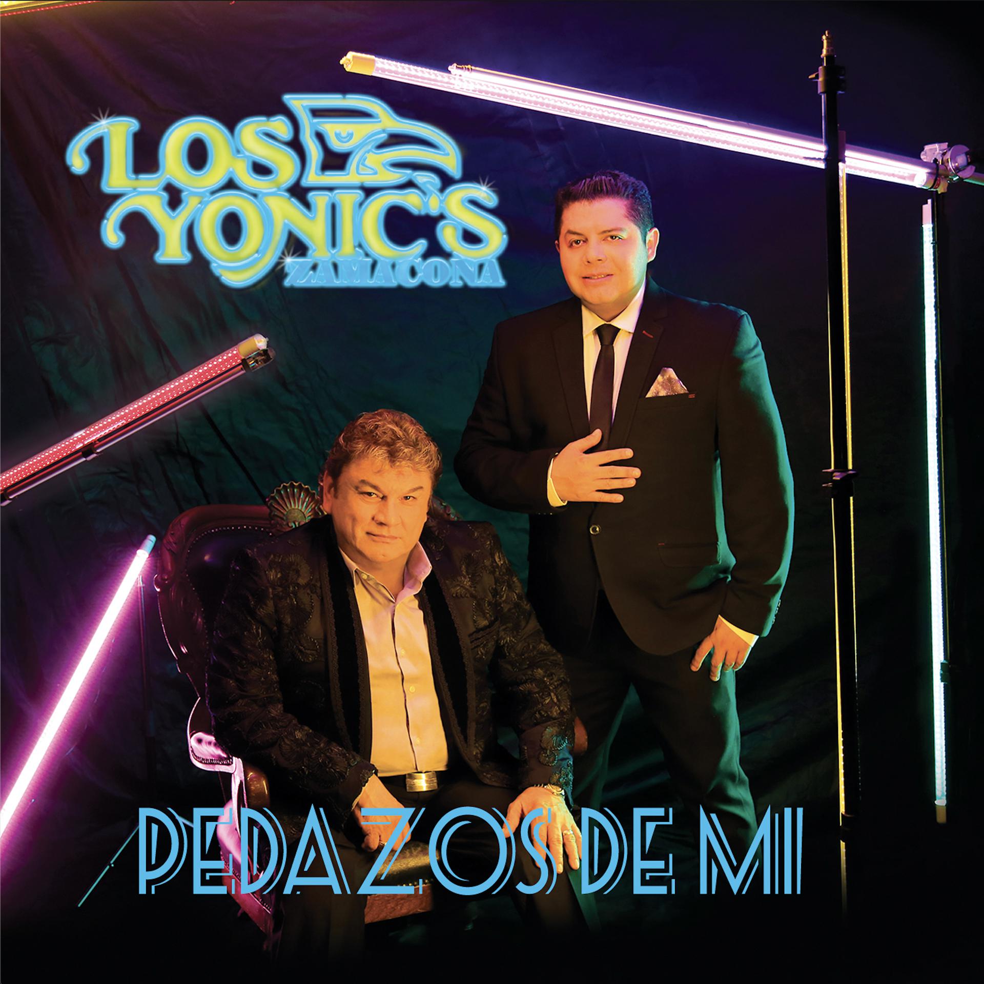 Постер альбома Pedazos de Mi