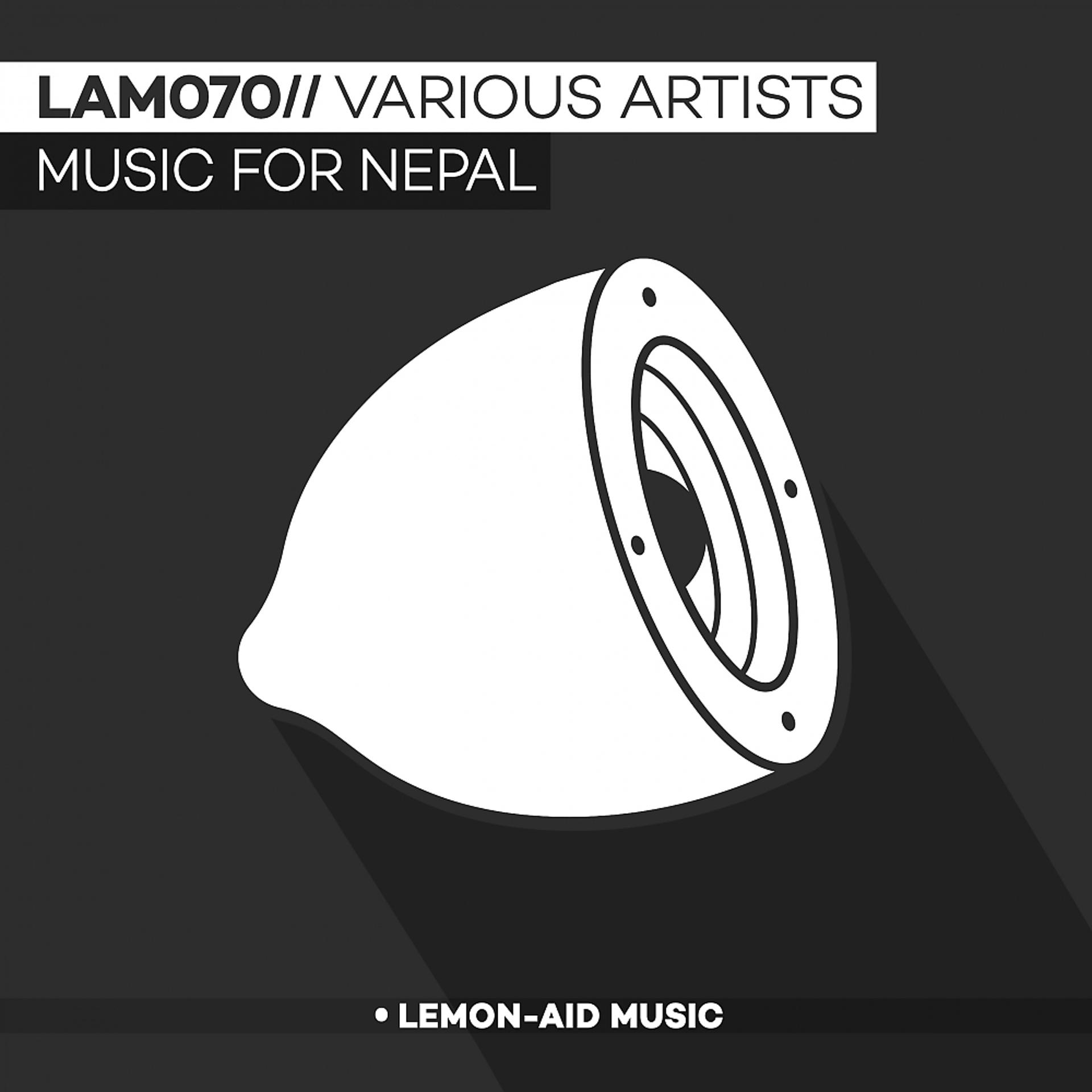 Постер альбома Music For Nepal