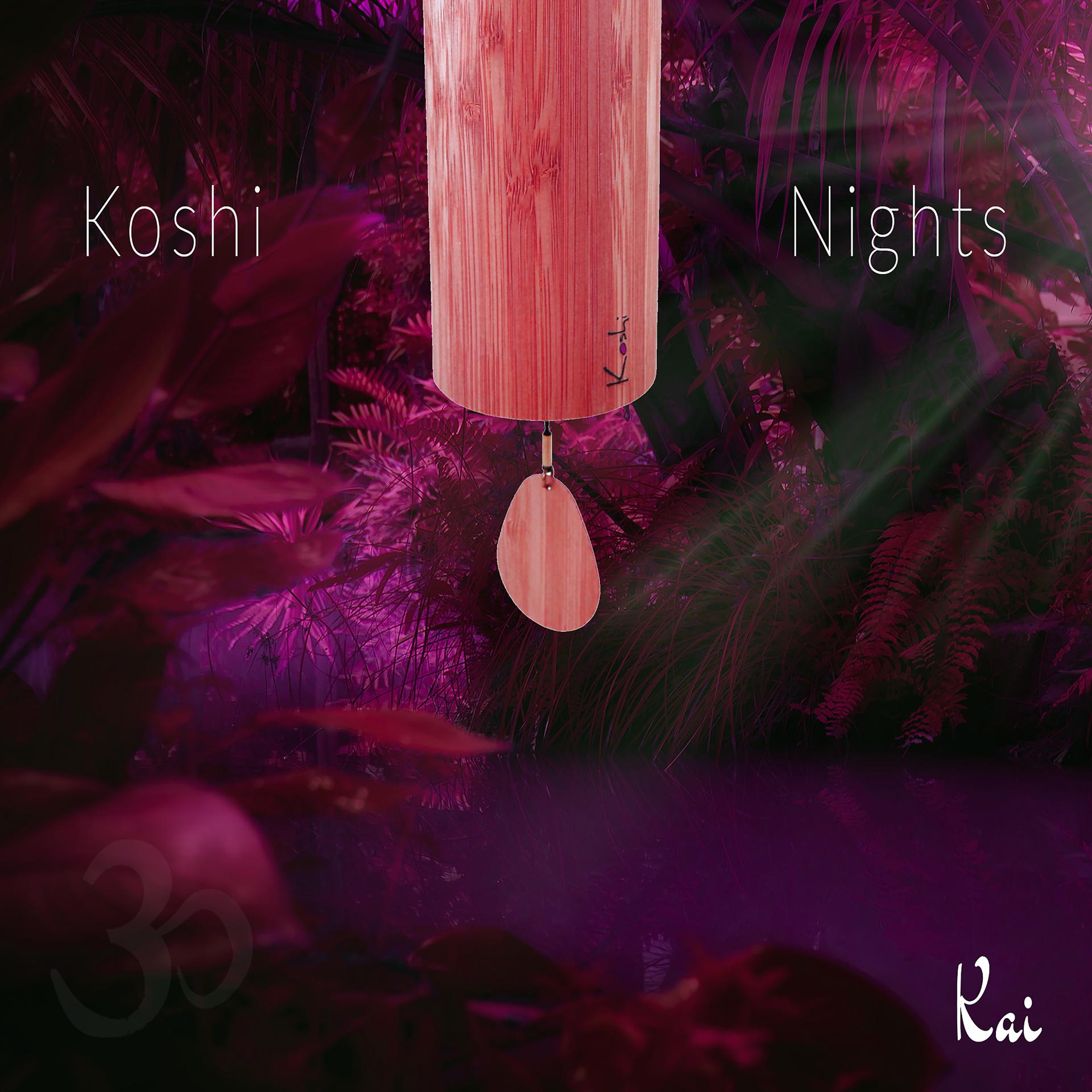 Постер альбома Koshi Nights
