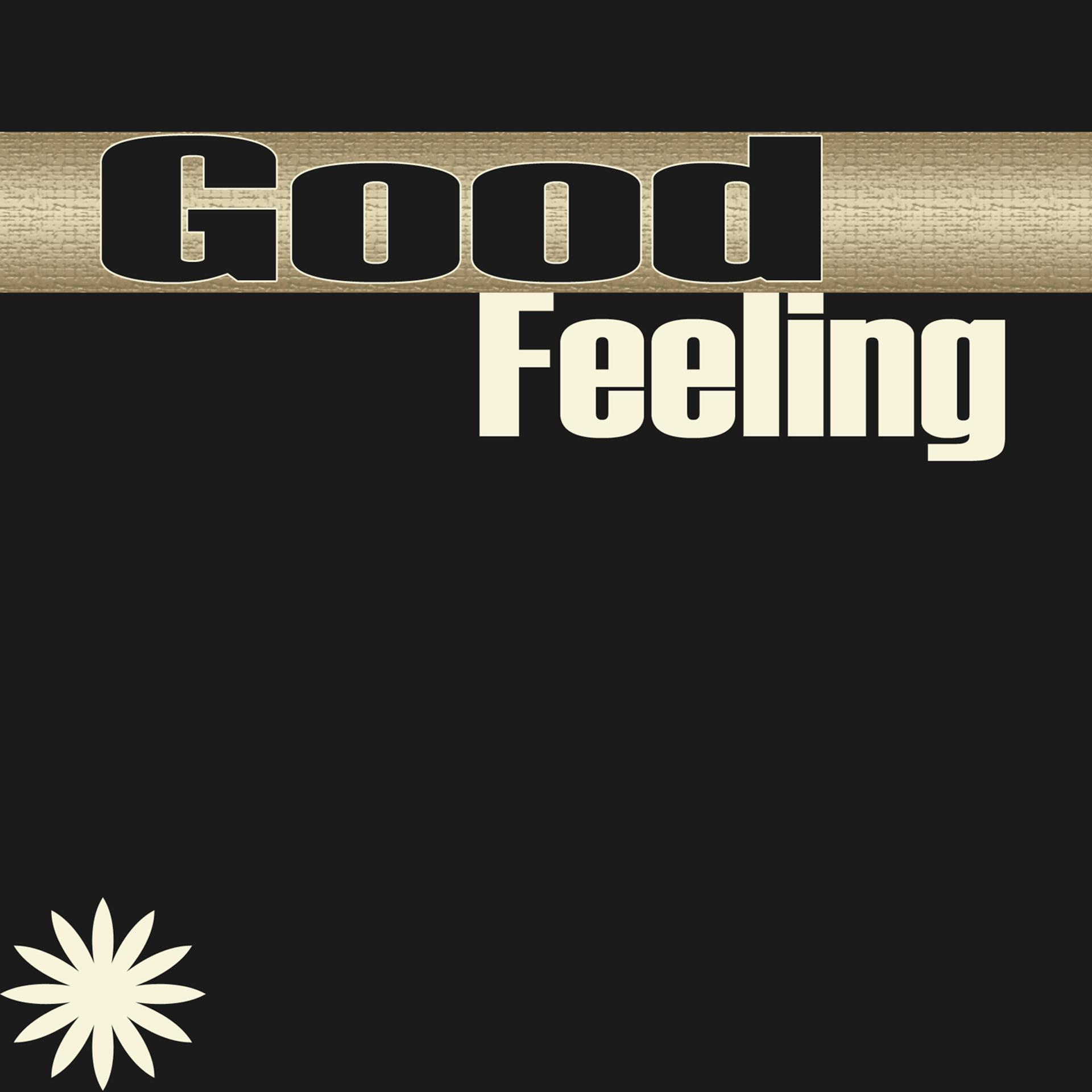 Постер альбома Good Feeling (Flo Rida Tribute)