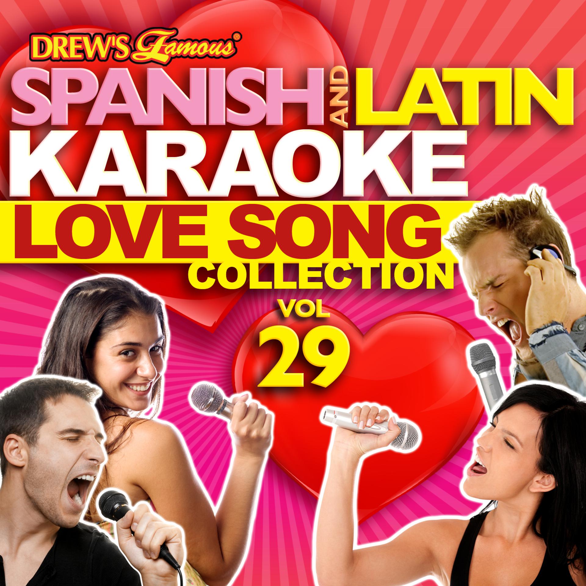 Постер альбома Spanish And Latin Karaoke Love Song Collection, Vol. 29
