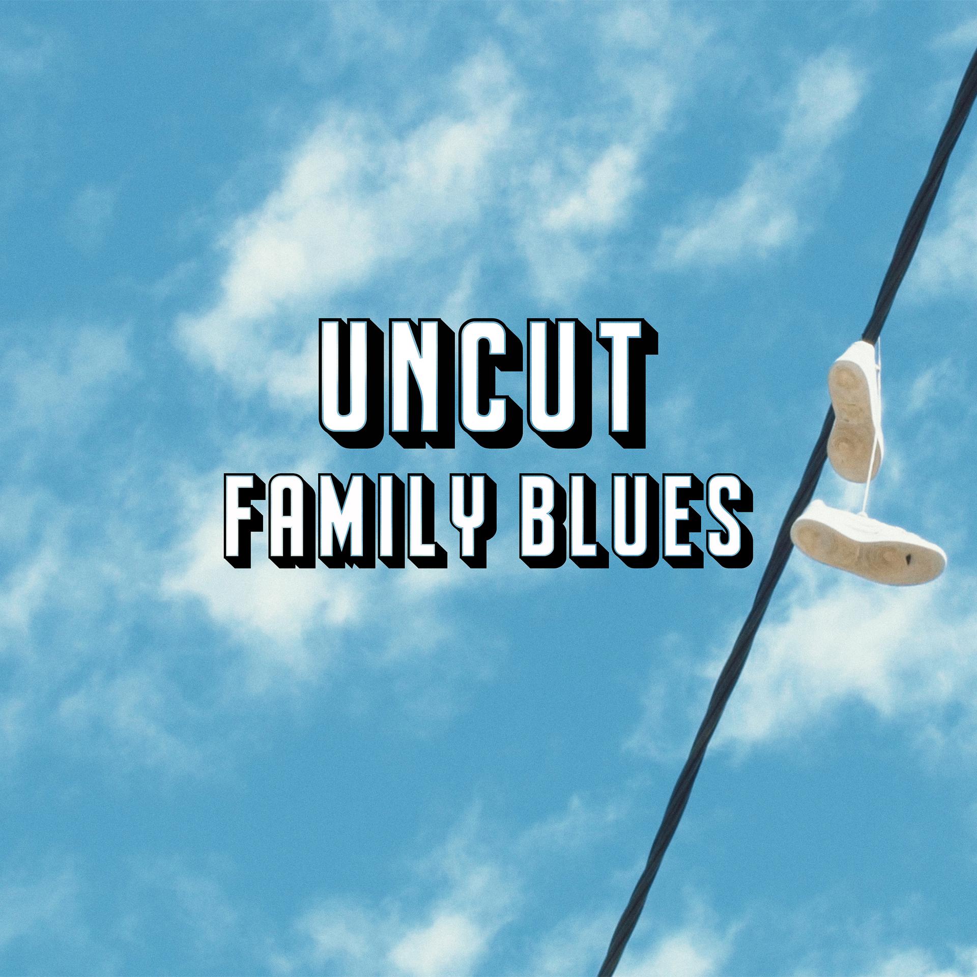 Постер альбома Family Blues