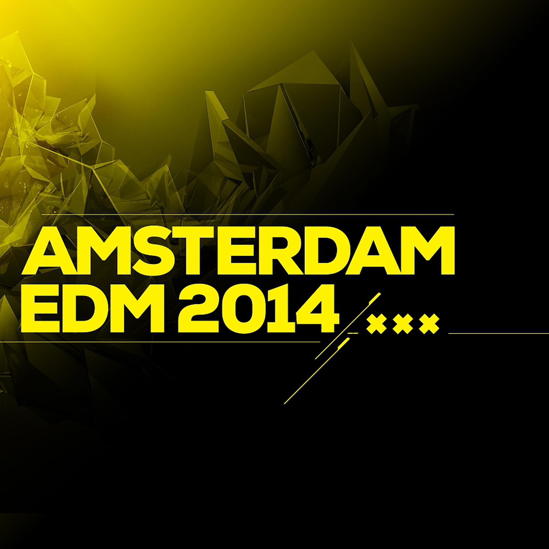 Постер альбома Amsterdam EDM 2014