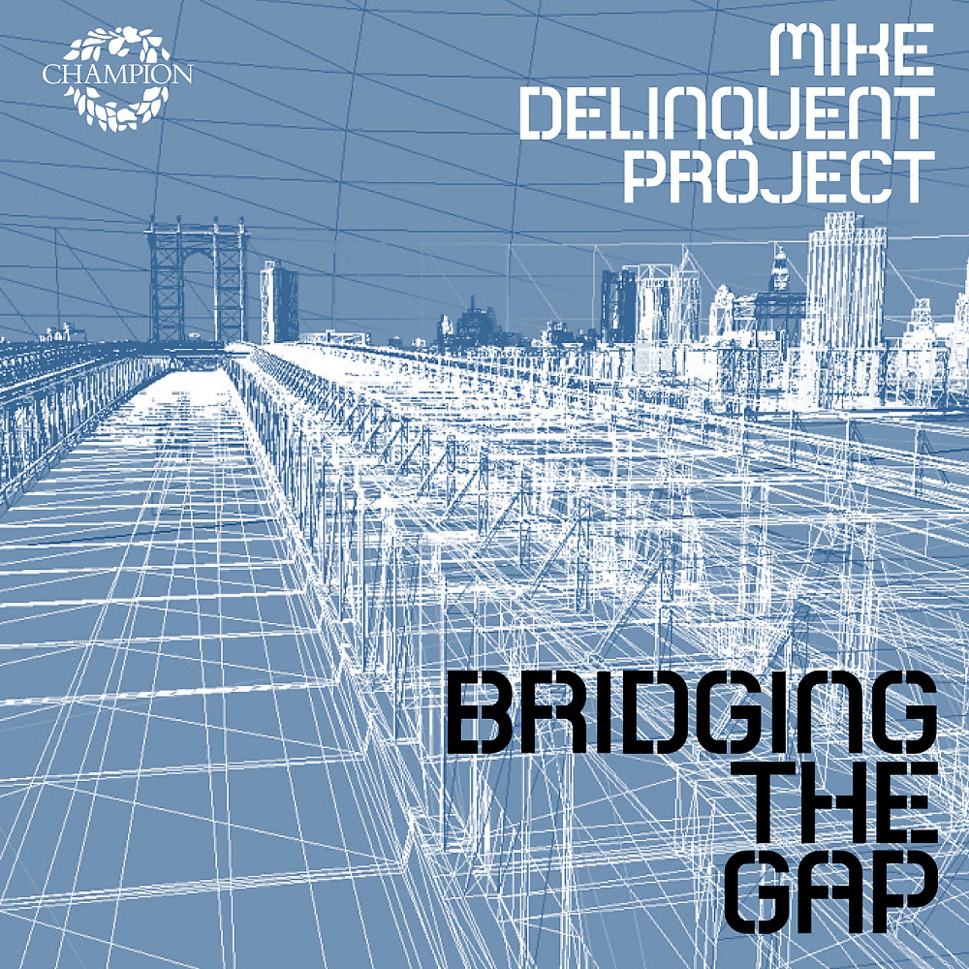Постер альбома Bridging The Gap