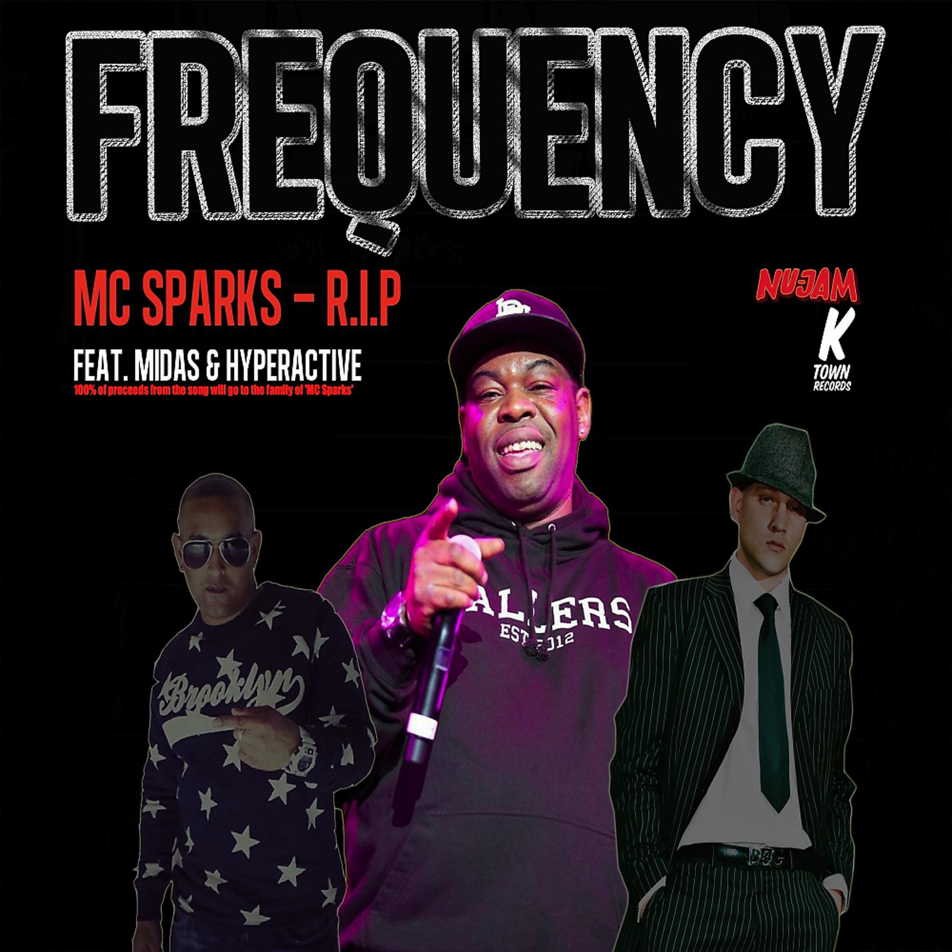 Постер альбома Frequency - MC Sparks R.I.P