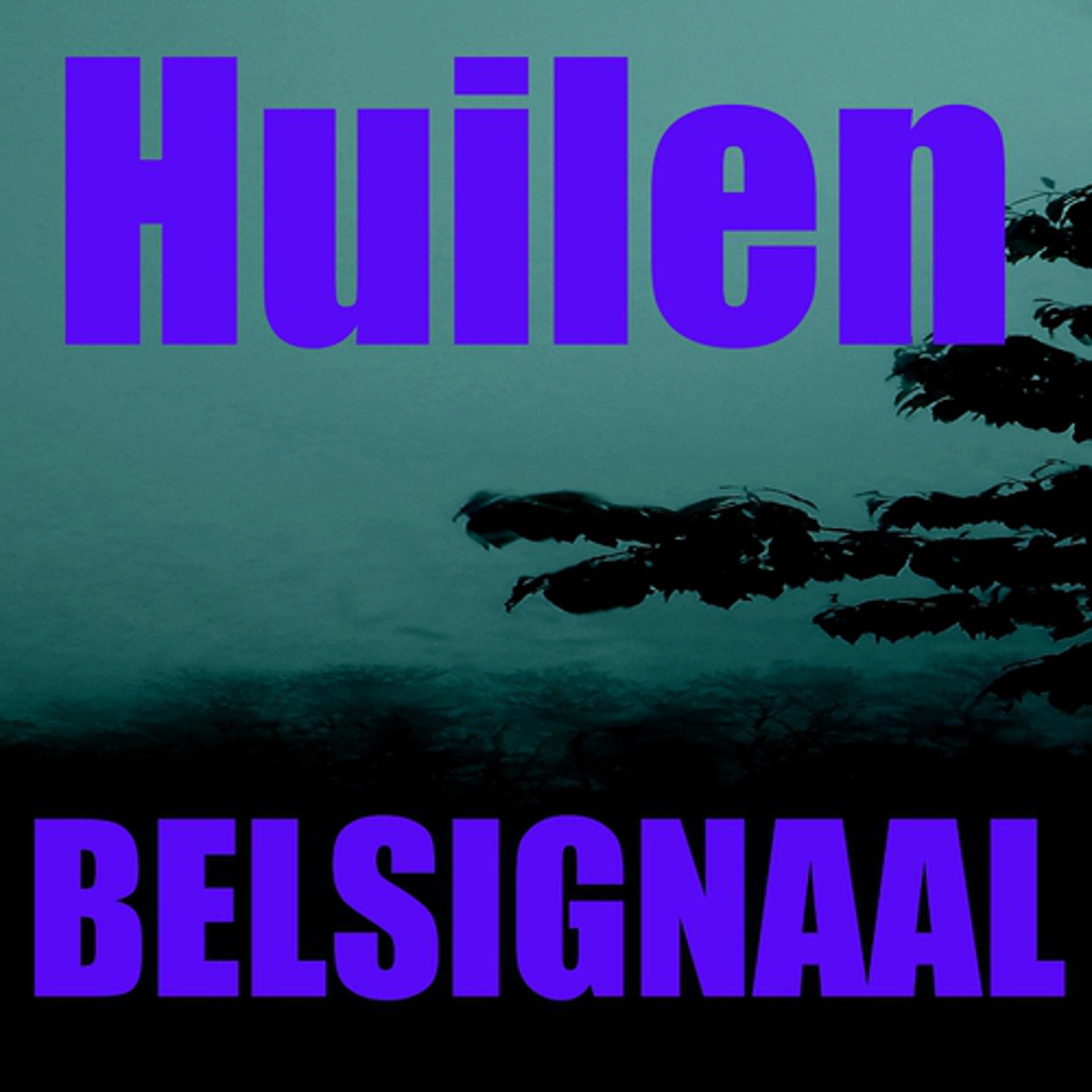 Постер альбома Huilen belsignaal