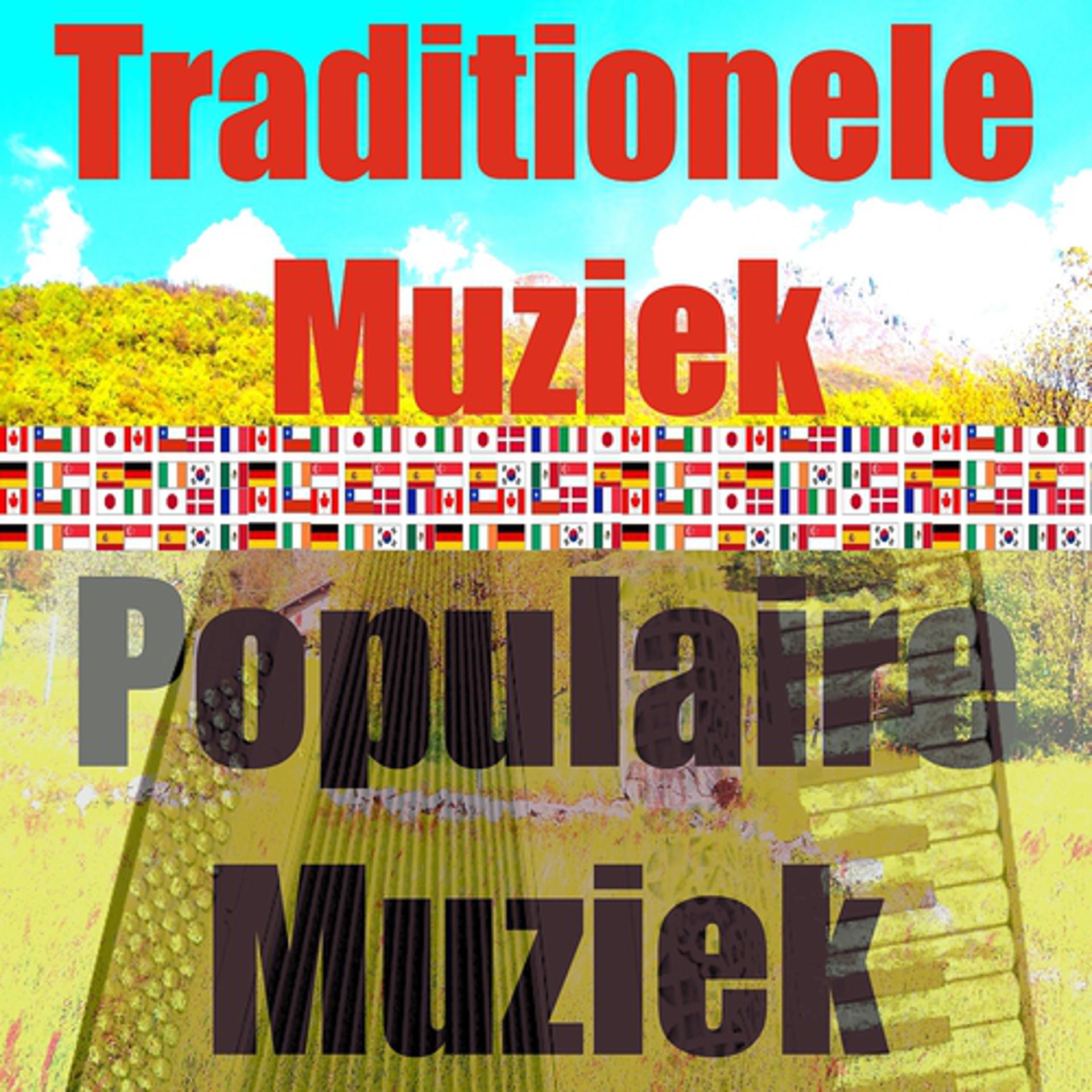 Постер альбома Populaire muziek