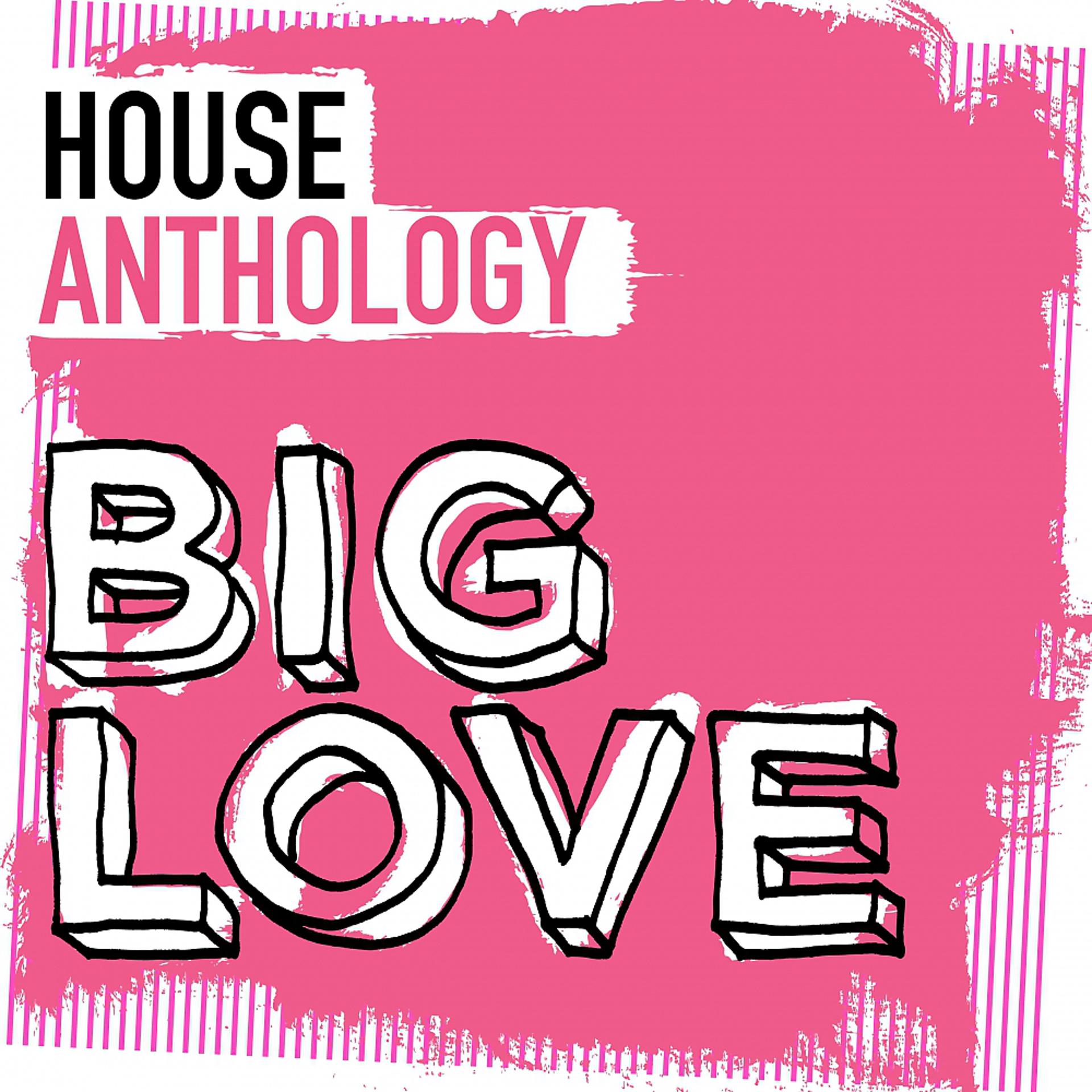 Постер альбома Big Love House Anthology