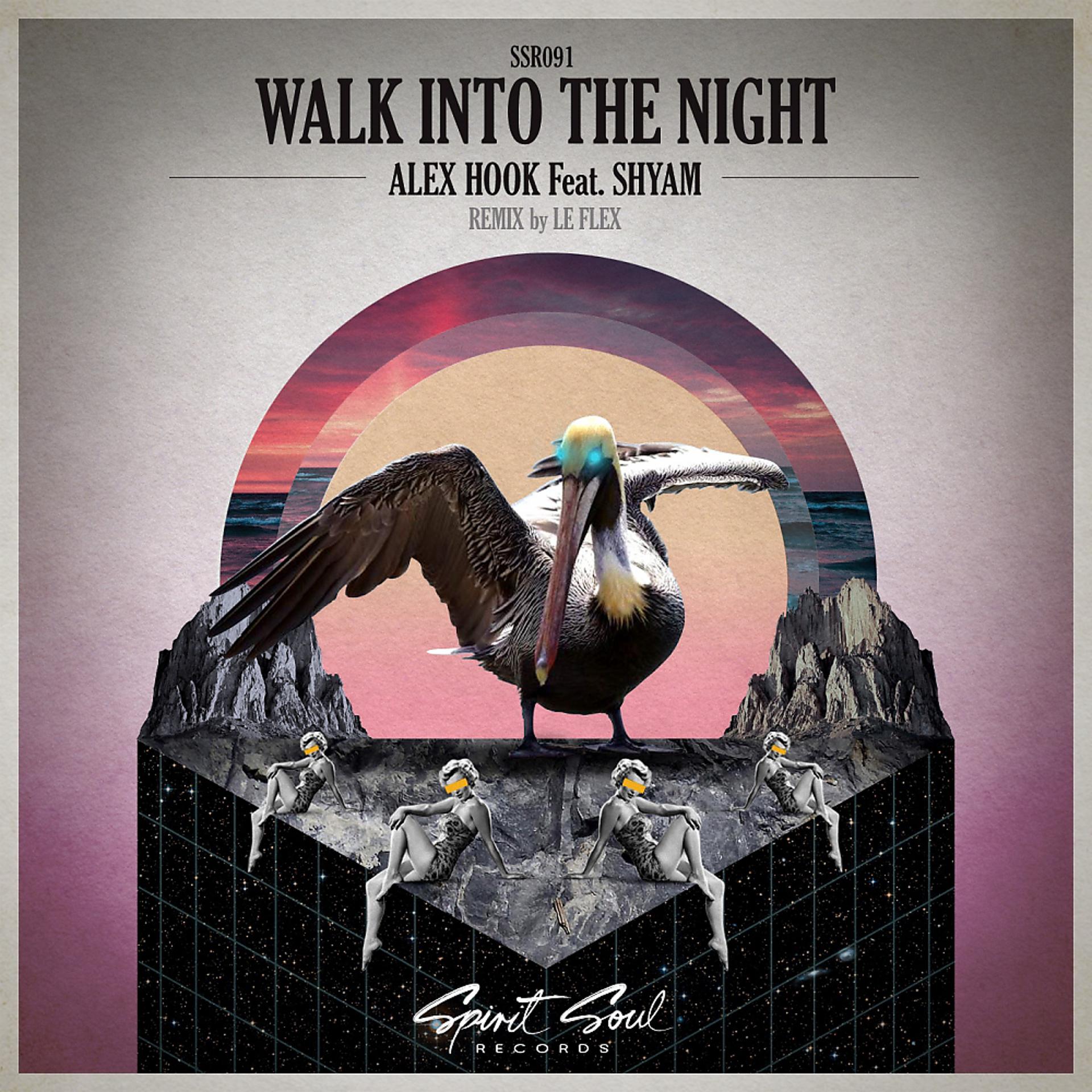 Постер альбома Walk Into The Night