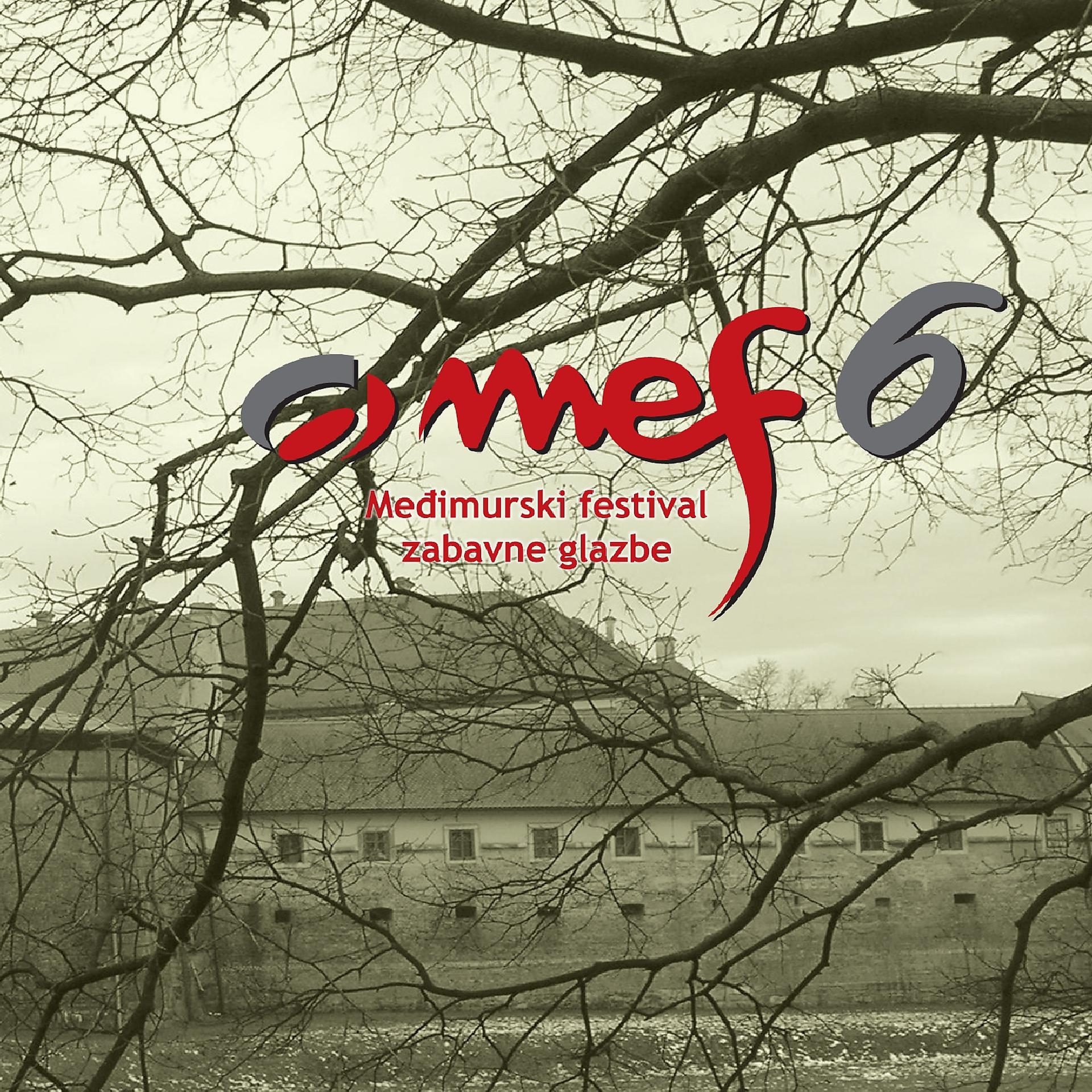 Постер альбома Mef - Međimurski Festival 2008.