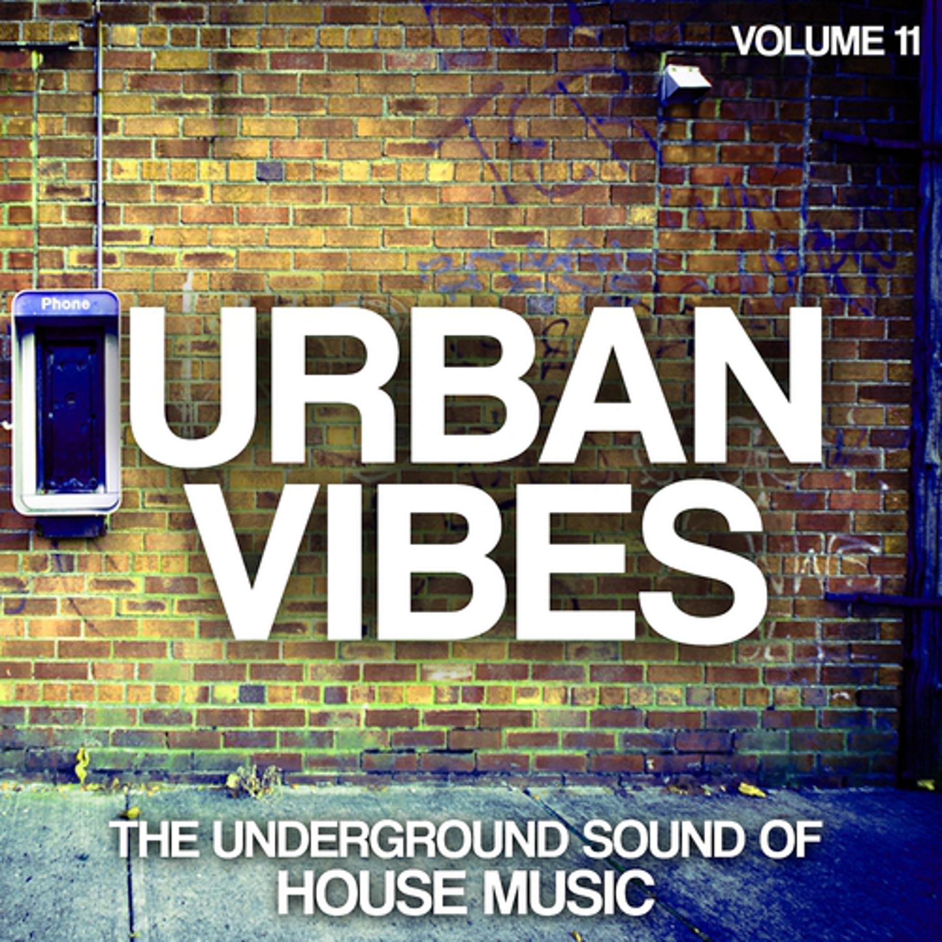Постер альбома Urban Vibes, Vol. 11