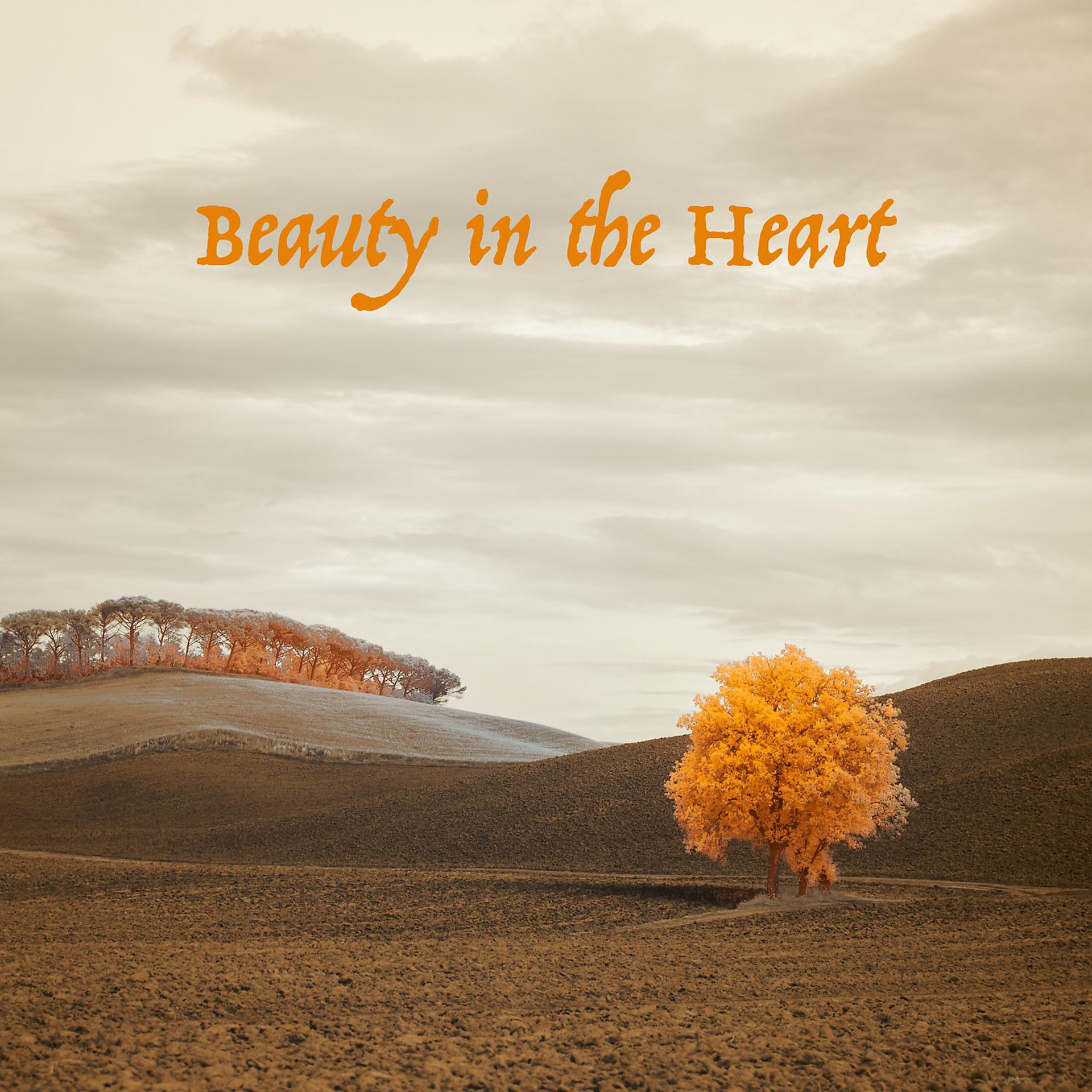 Постер альбома Beauty in the Heart