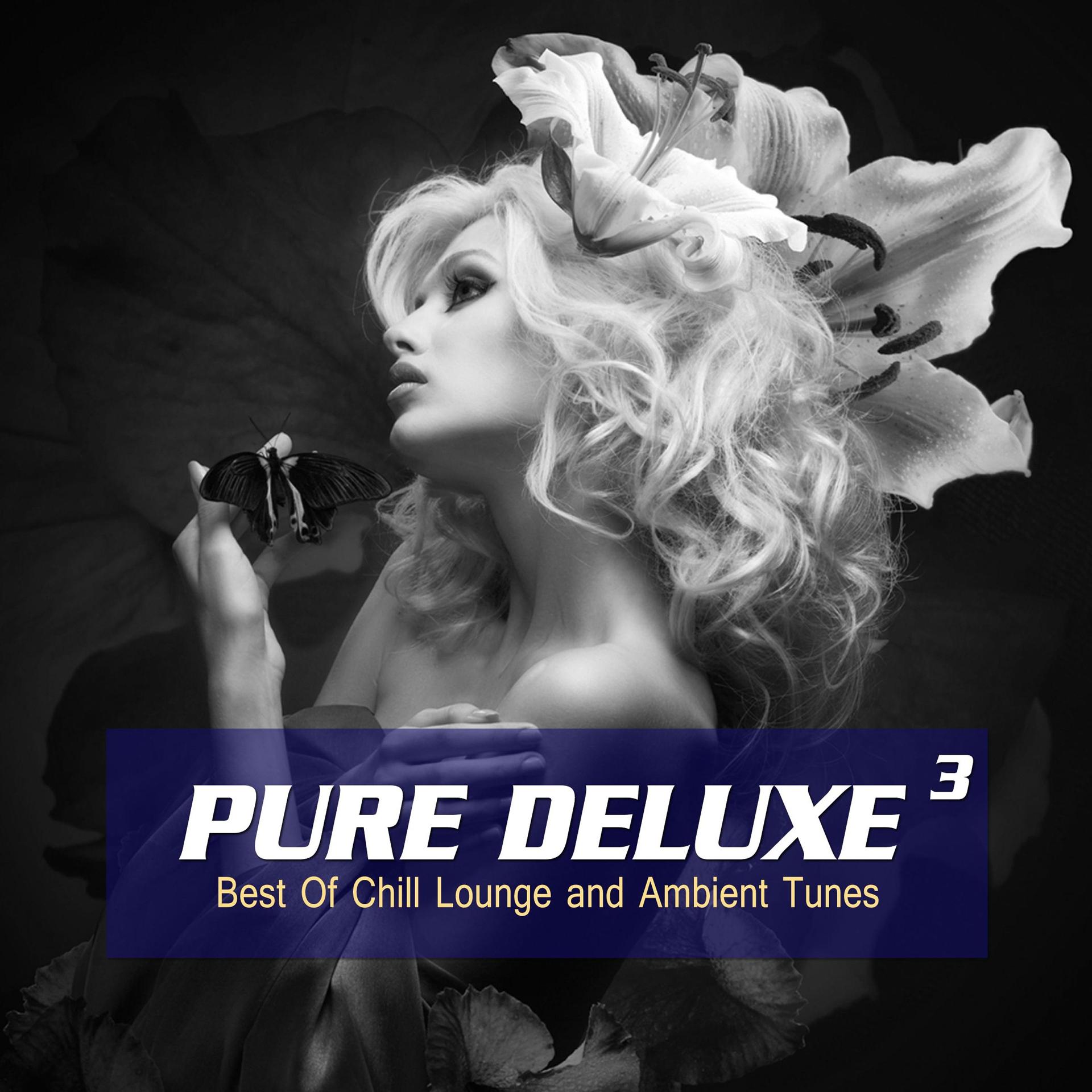 Постер альбома Pure Deluxe, Vol. 3 (Best of Chill Lounge and Ambient Tunes)