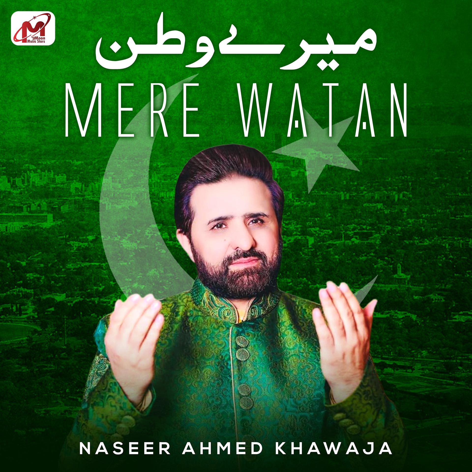 Постер альбома Mere Watan - Single