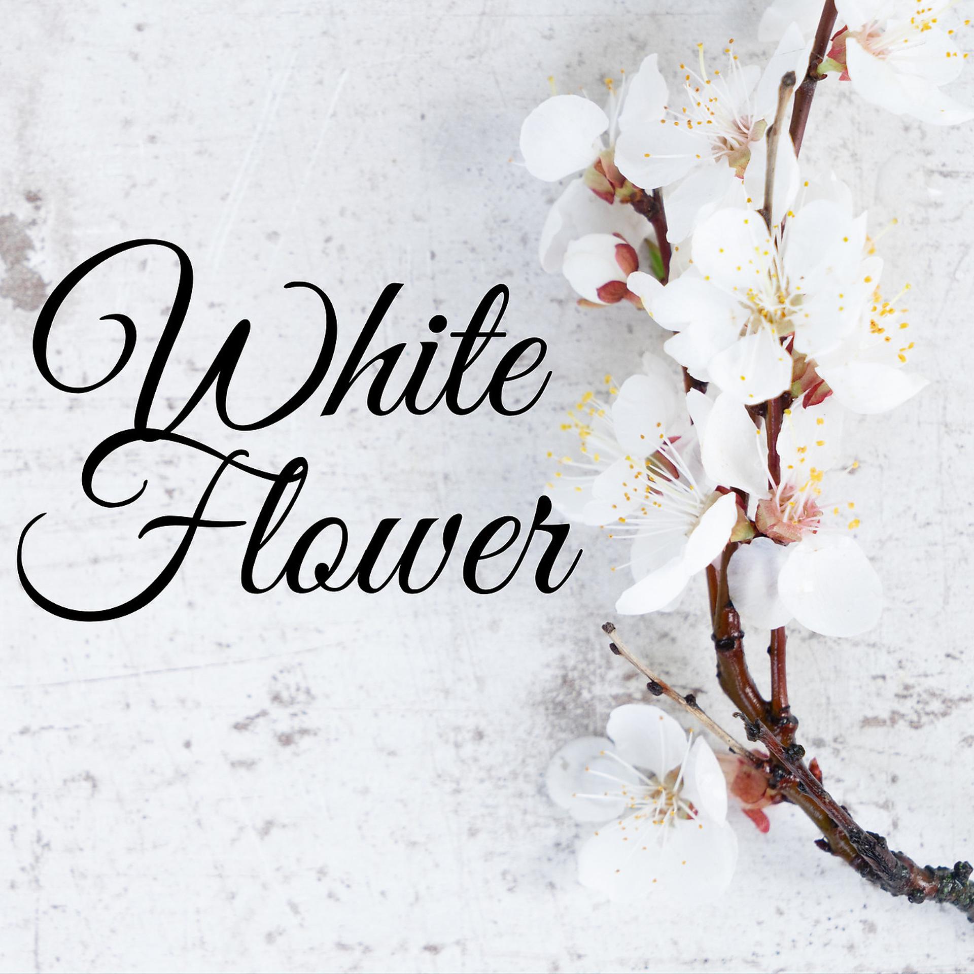 Постер альбома White Flower