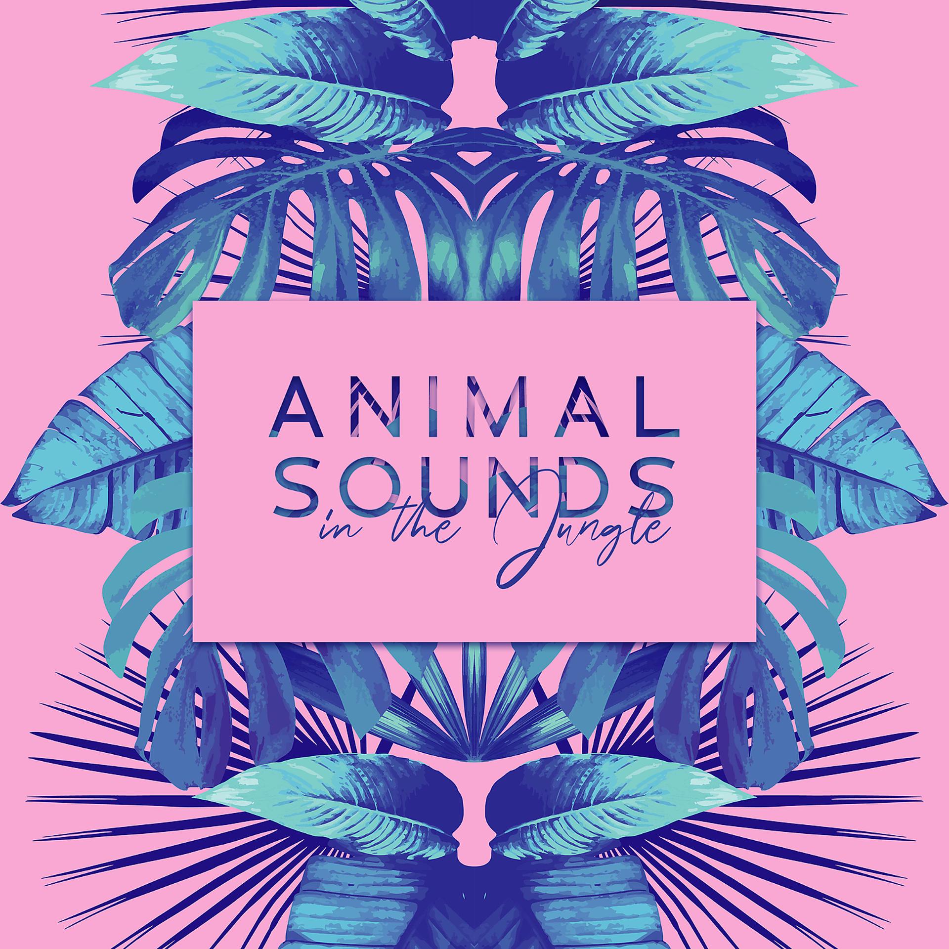 Постер альбома Animal Sounds in the Jungle: Wildlife Music to Restore Your Balance and Inner Energy. Nature Therapy Zone