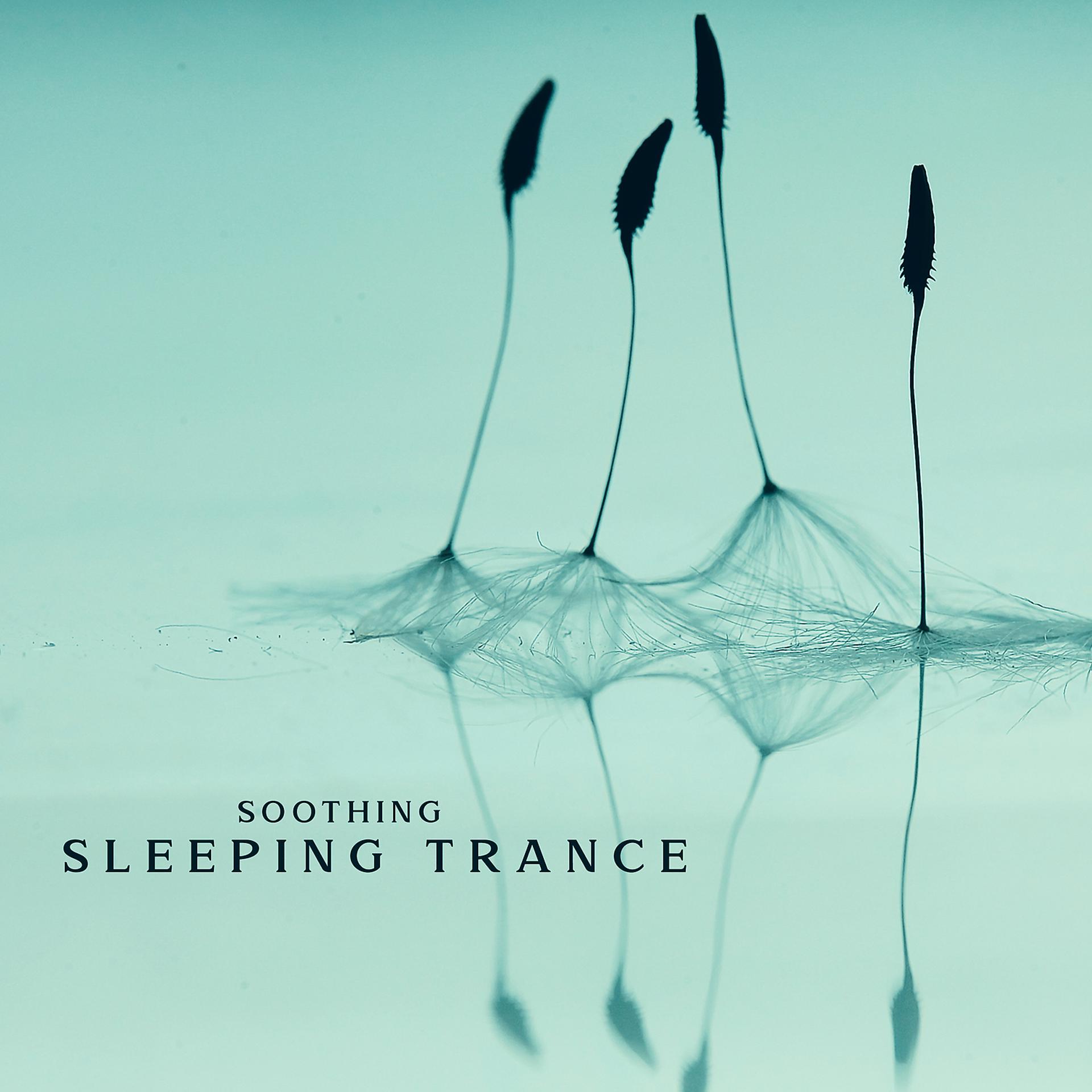 Постер альбома Soothing Sleeping Trance: Relaxing Bedtime Music, Deep Sleep Night, Wonderful Calmness
