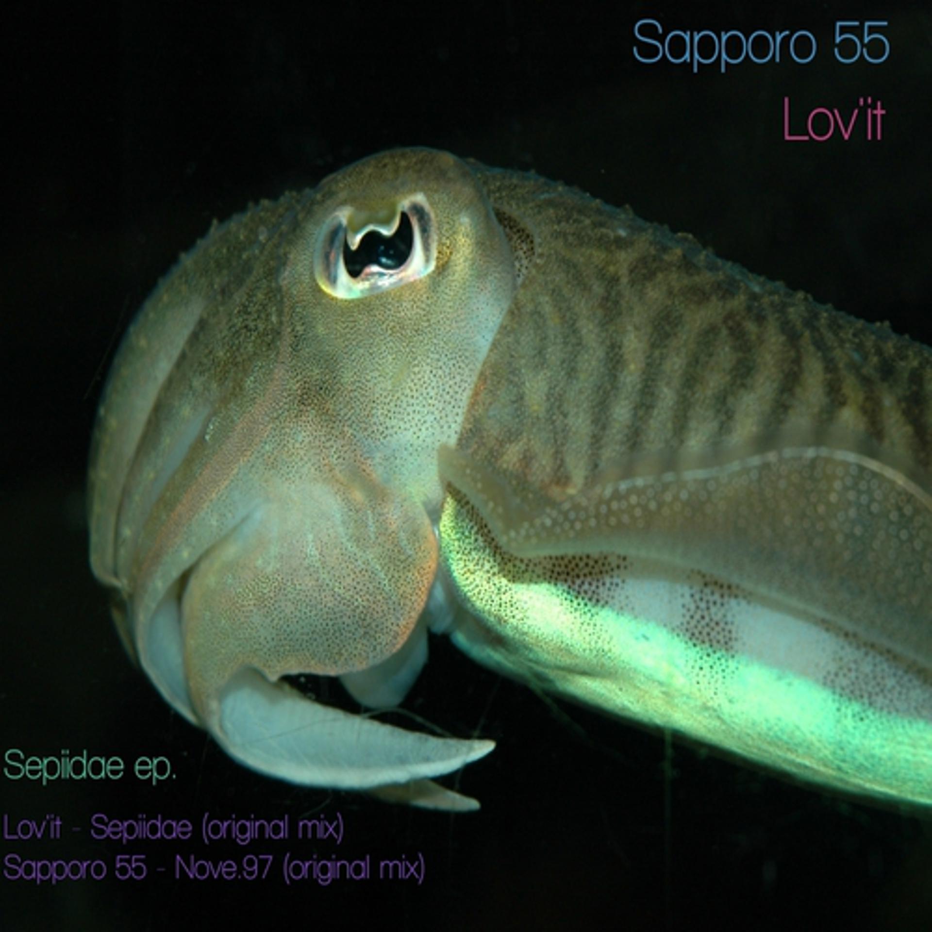 Постер альбома Sapporo 55