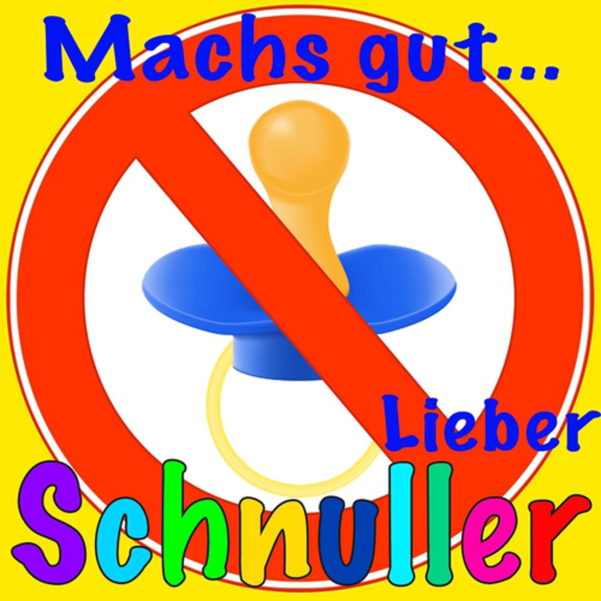 Постер альбома Mach's gut lieber Schnuller