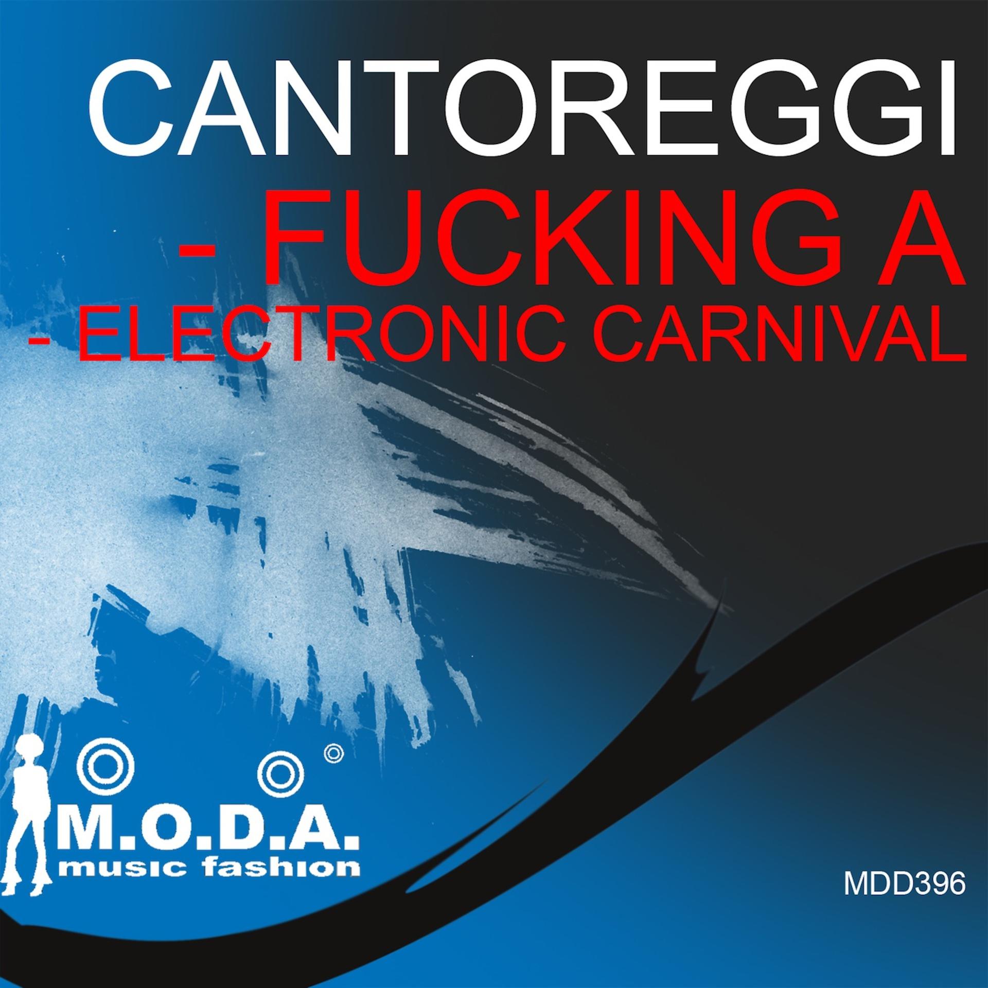 Постер альбома Fucking a / Electronic Carnival