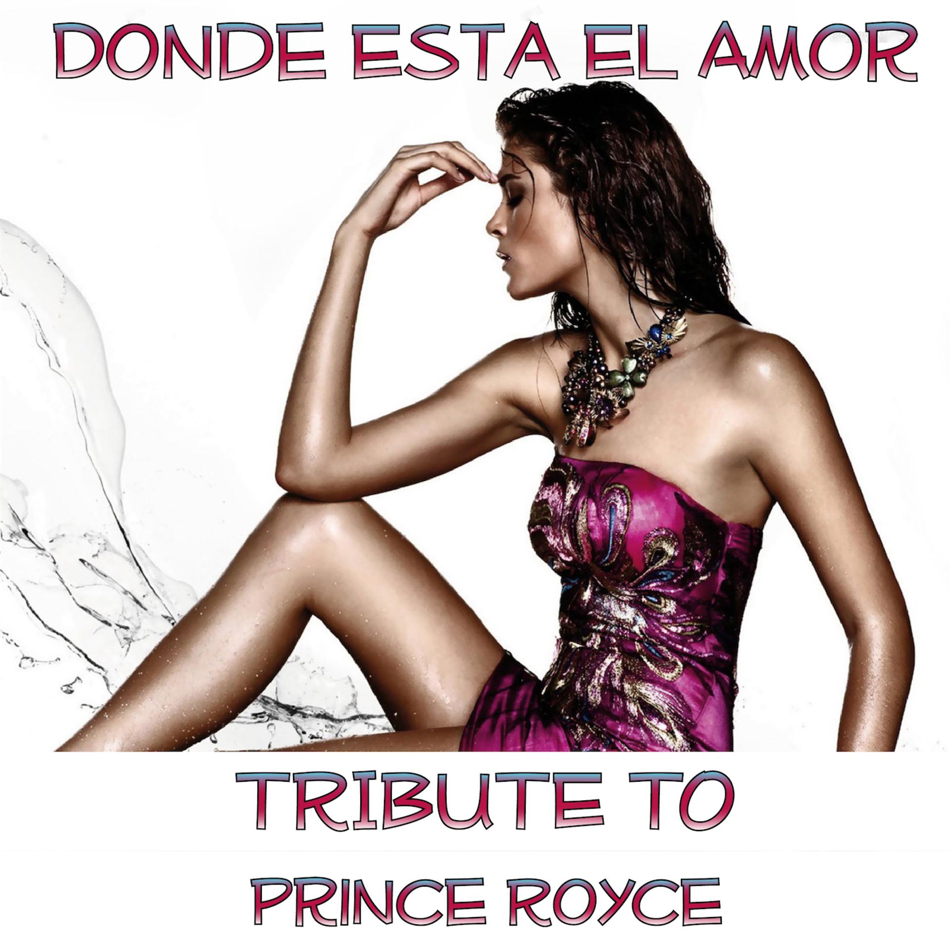 Постер альбома Donde Esta el Amor Compilation (Tribute to Prince Royce)