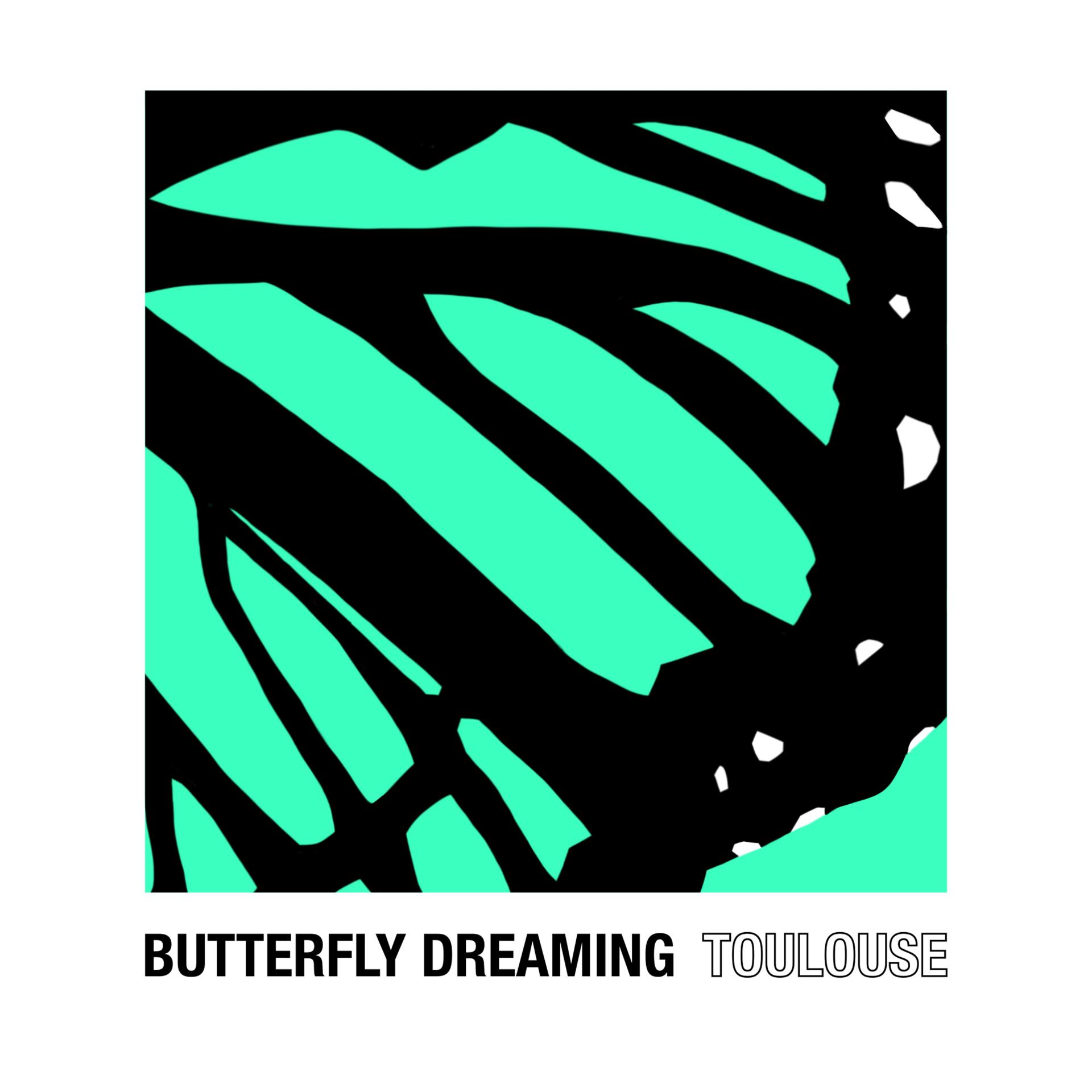 Постер альбома Butterfly Dreaming