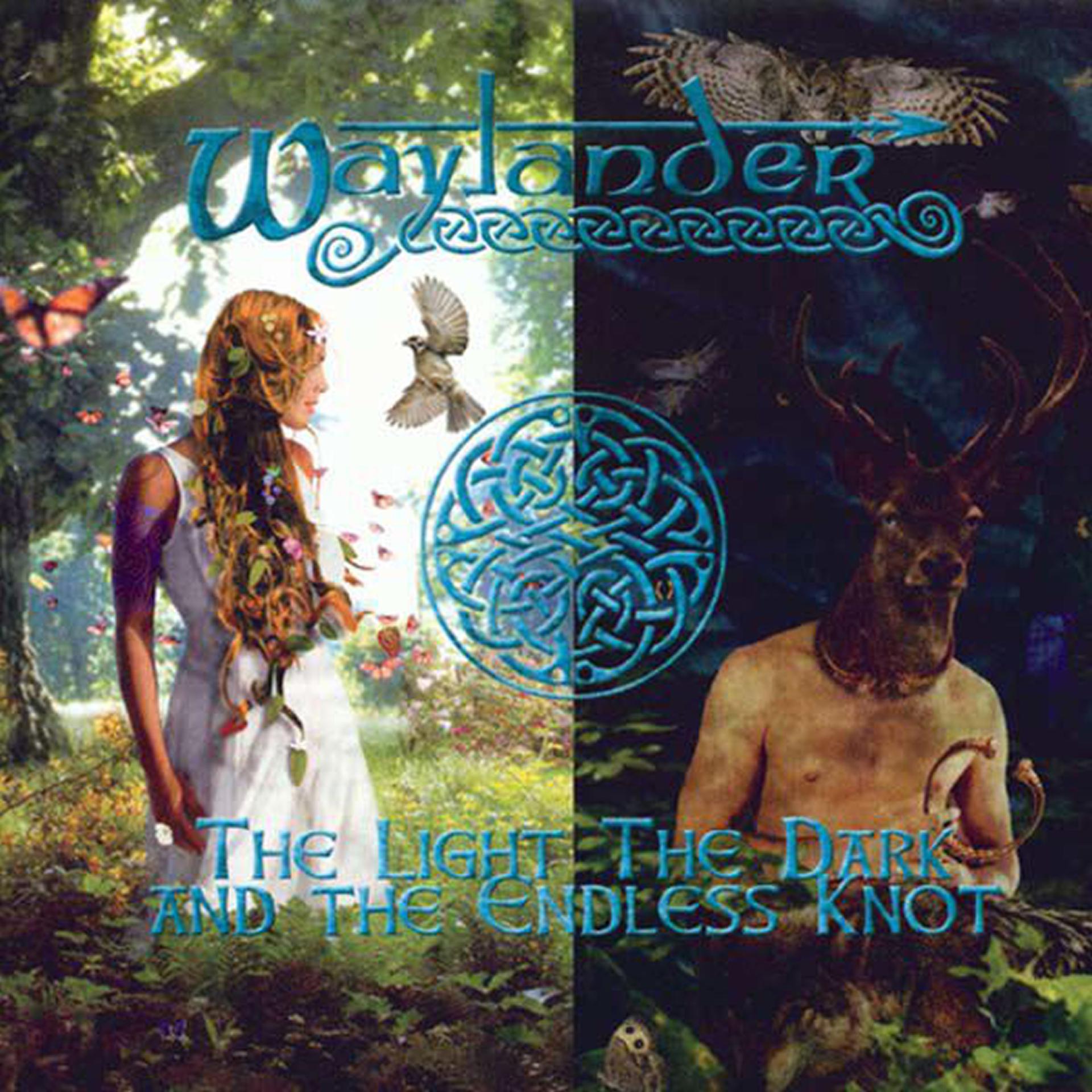 Постер альбома The Light, The Dark and the Endless Knot