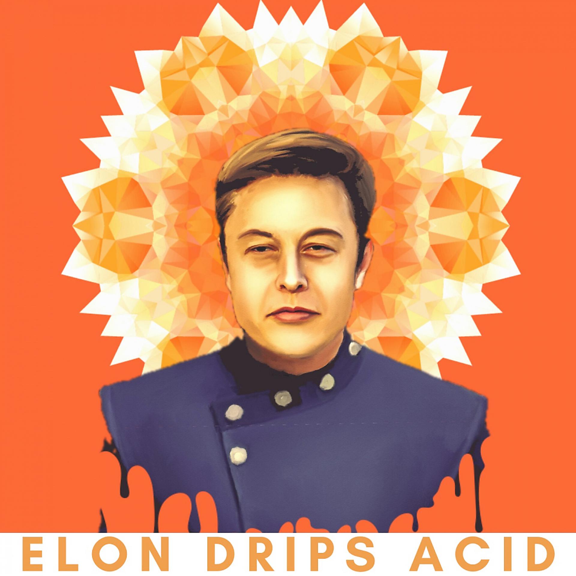 Постер альбома Elon Drips Acid