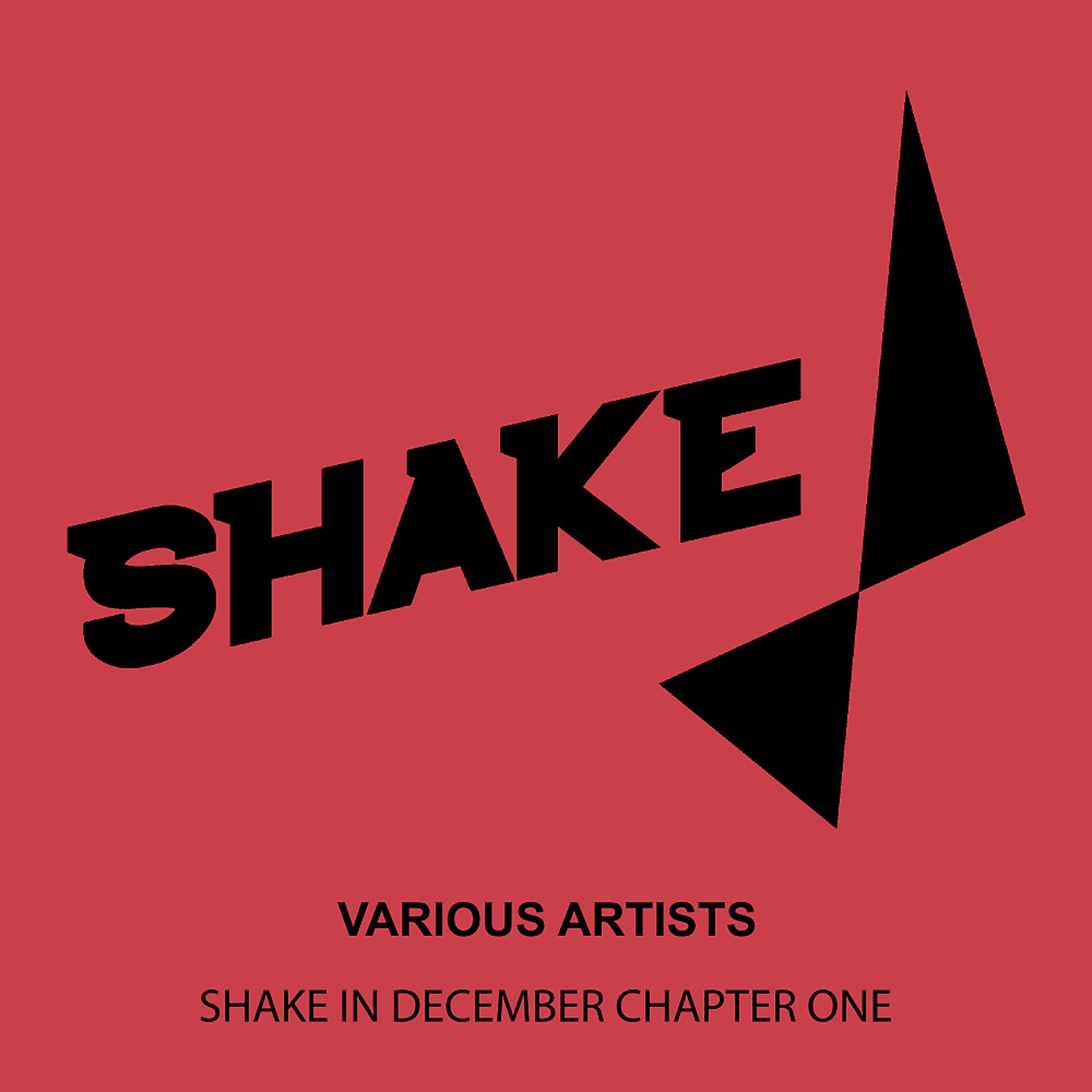 Постер альбома Shake In December Chapter One