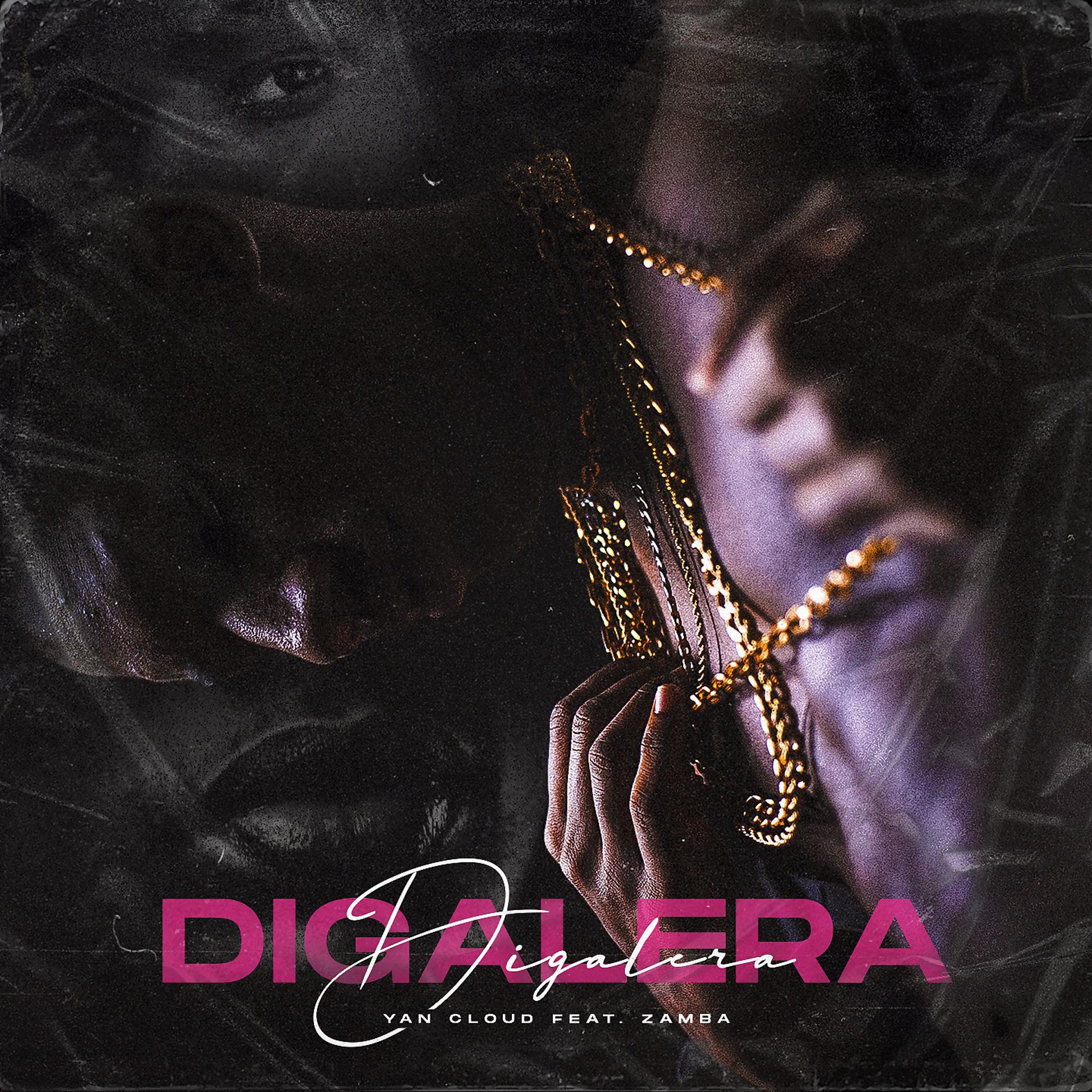 Постер альбома Digalera