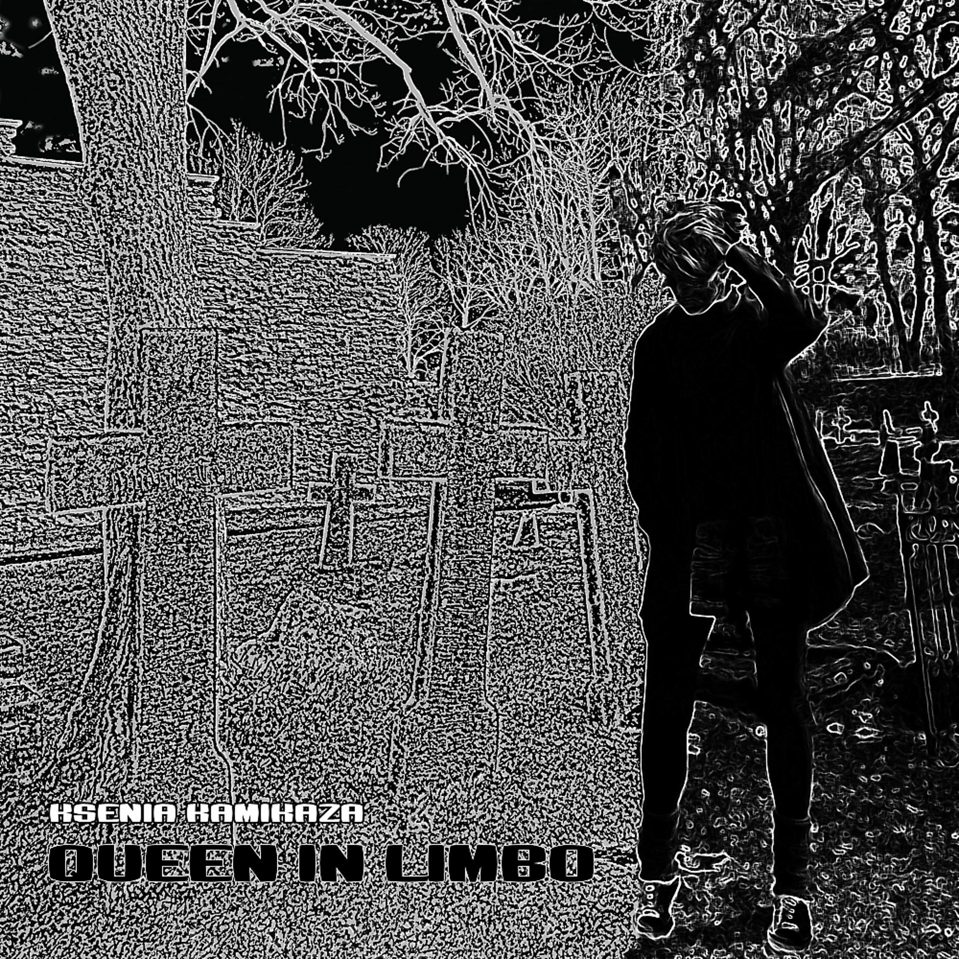 Постер альбома Queen In Limbo