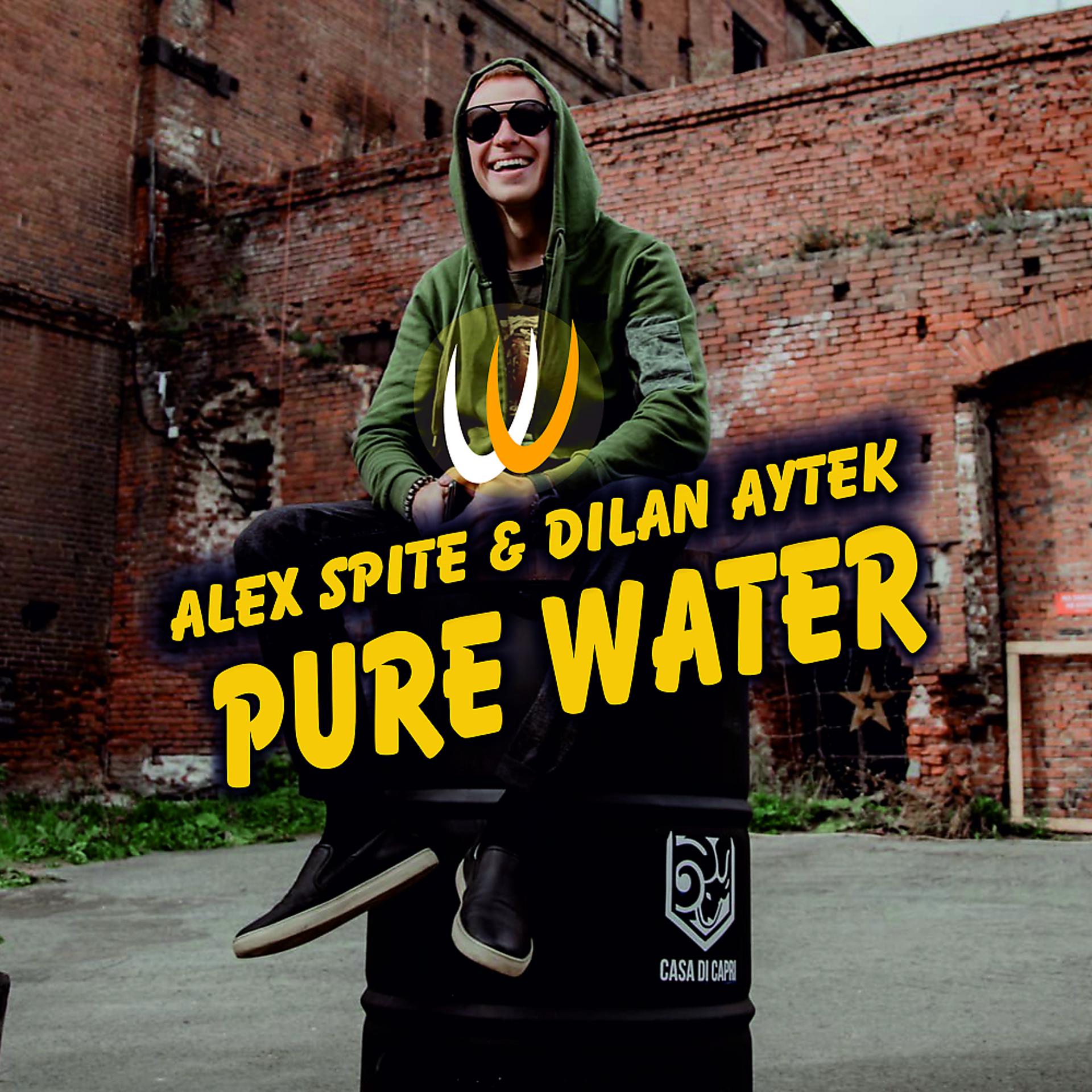 Постер альбома Pure Water