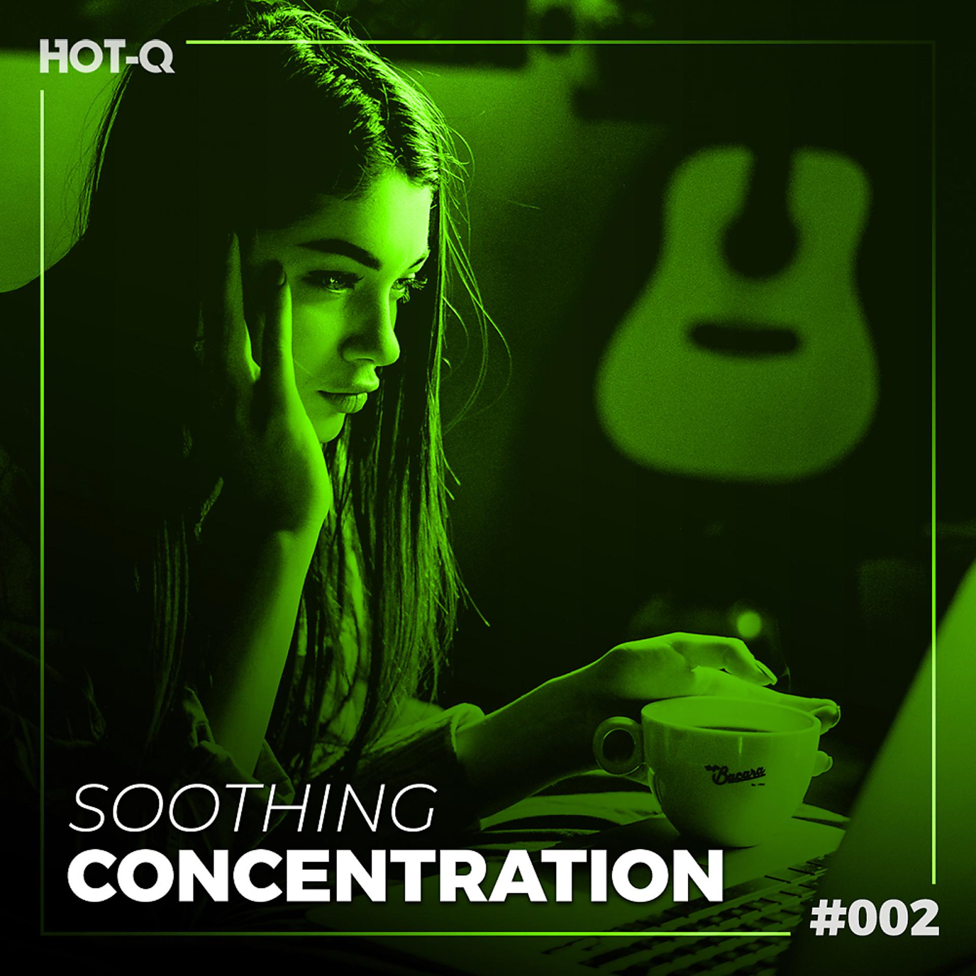 Постер альбома Soothing Concentration 002