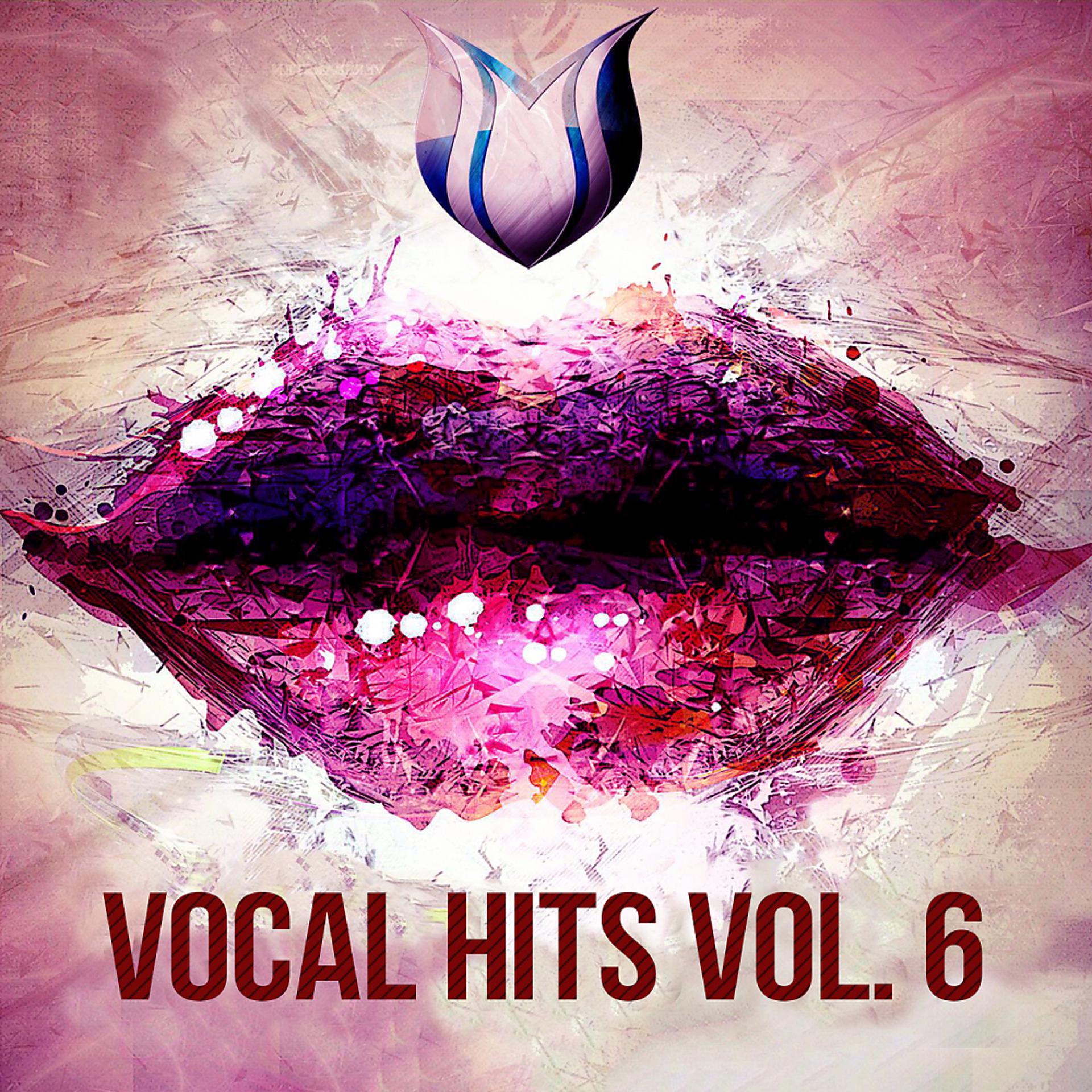 Постер альбома Vocal Hits, Vol. 6
