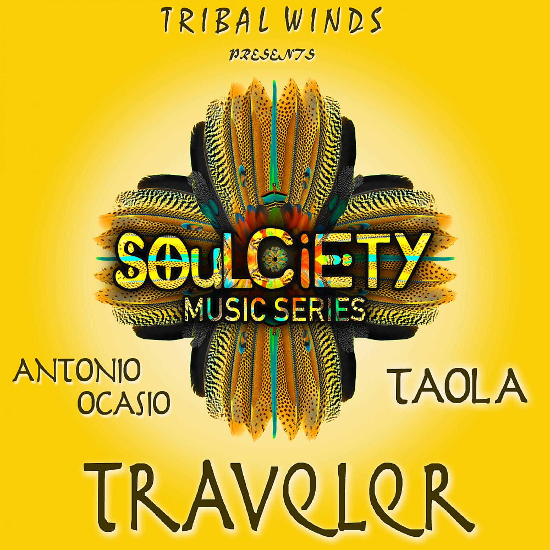 Постер альбома Traveler