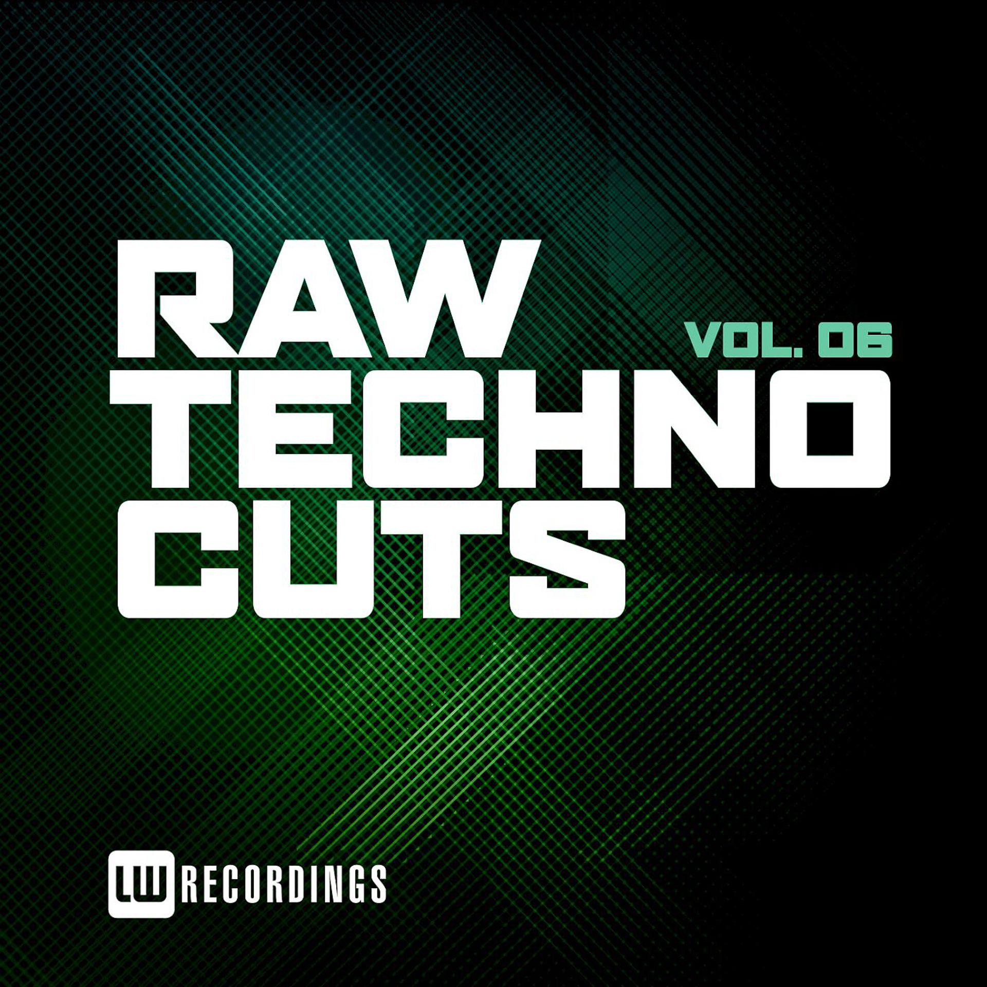 Постер альбома Raw Techno Cuts, Vol. 06