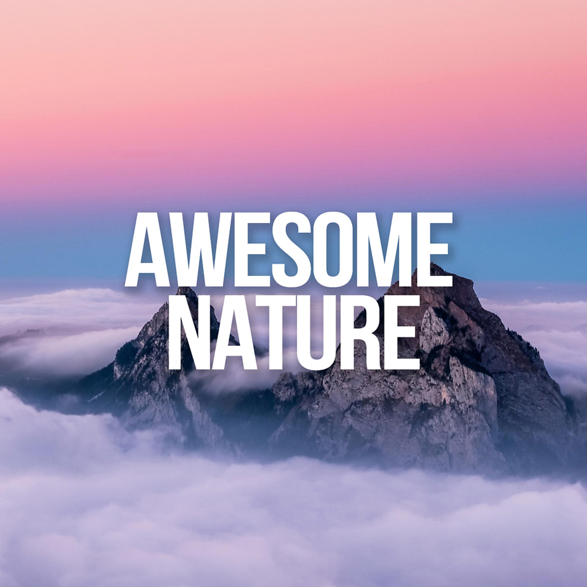 Постер альбома Awesome Nature Sounds