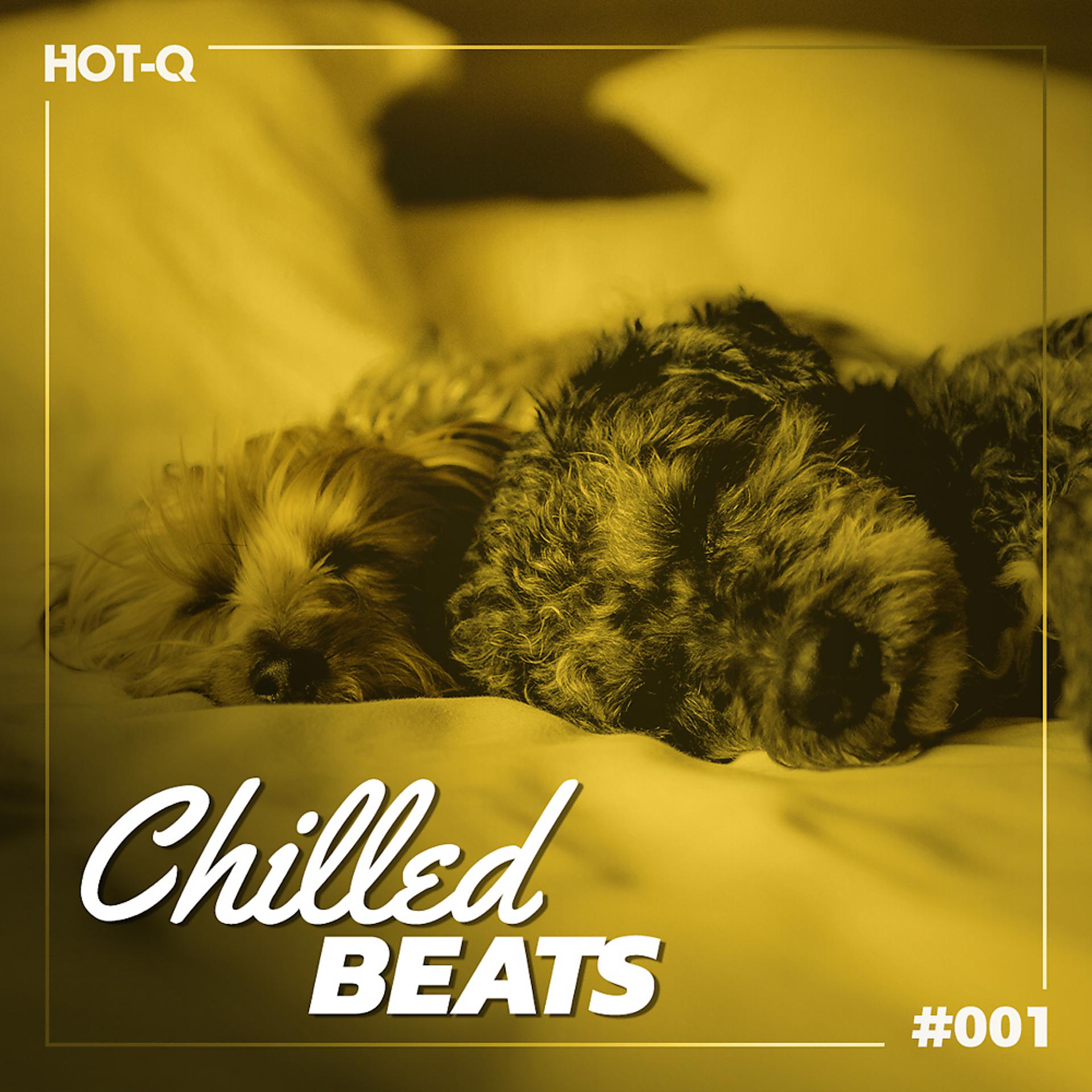 Постер альбома Chilled Beats 001