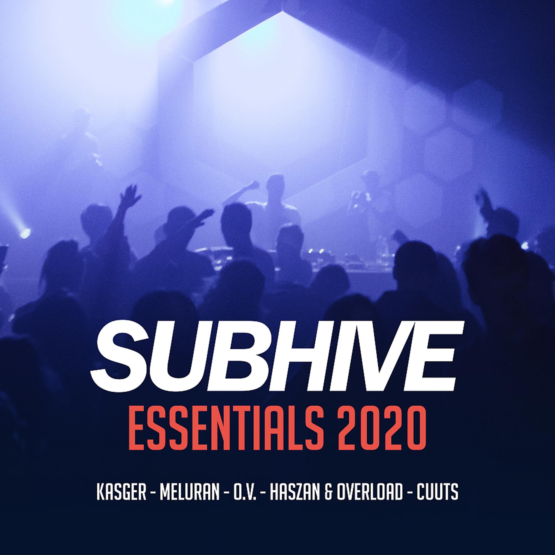 Постер альбома SUBHIVE Essentials 2020
