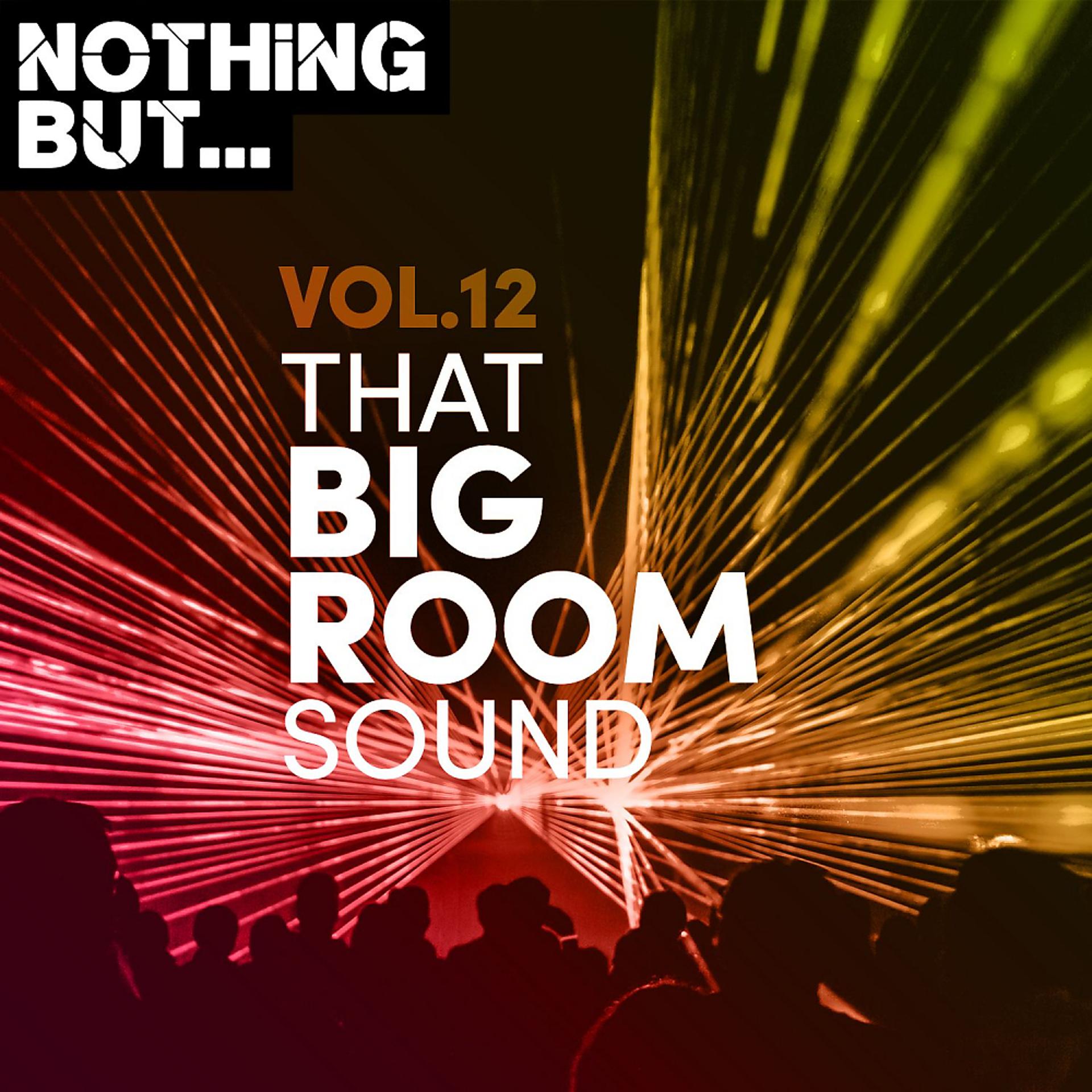Постер альбома Nothing But... That Big Room Sound, Vol. 12