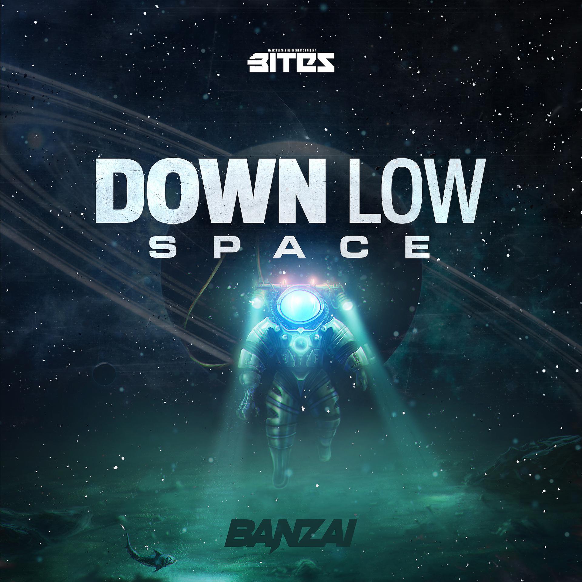 Постер альбома Down Low / Space
