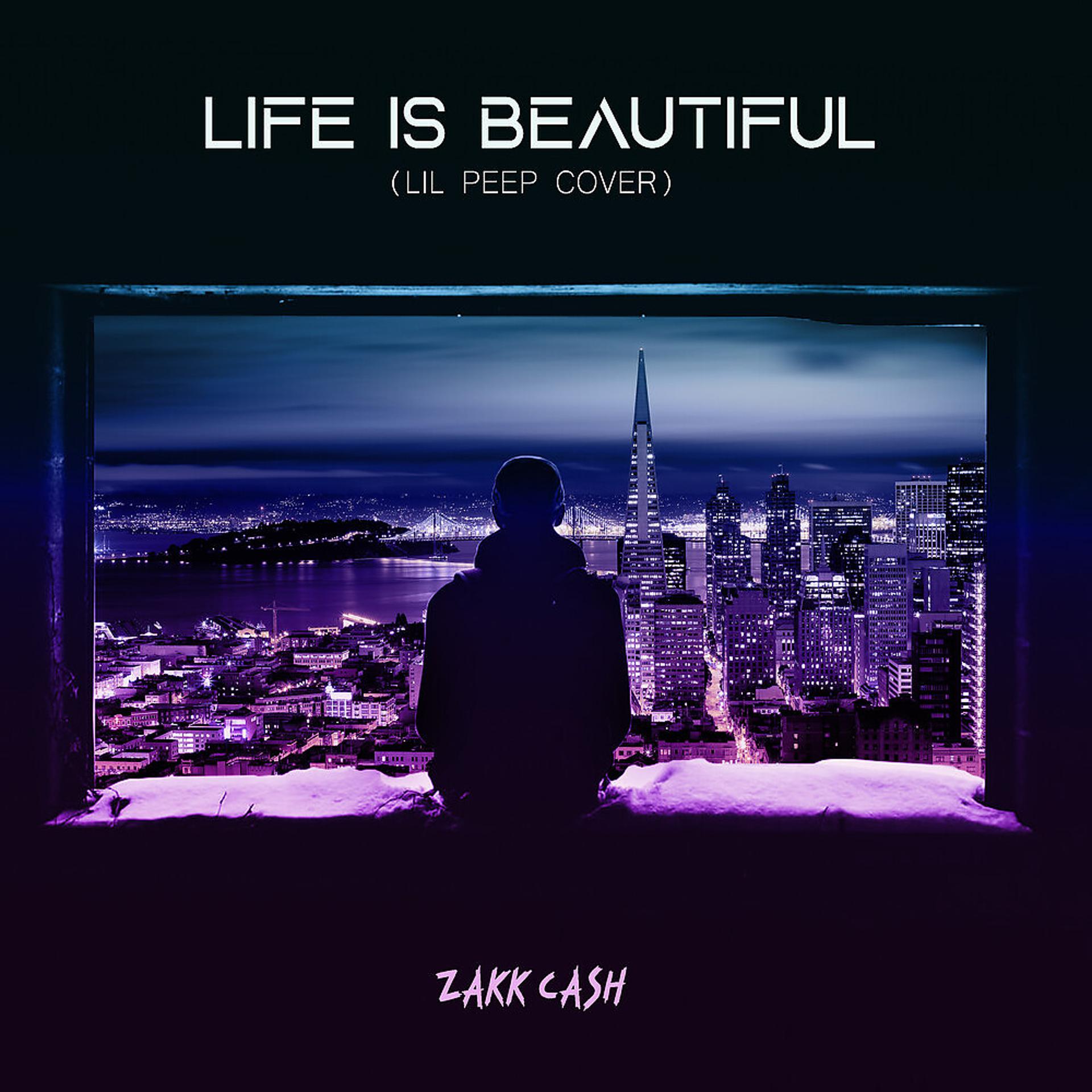 Постер альбома Life Is Beautiful