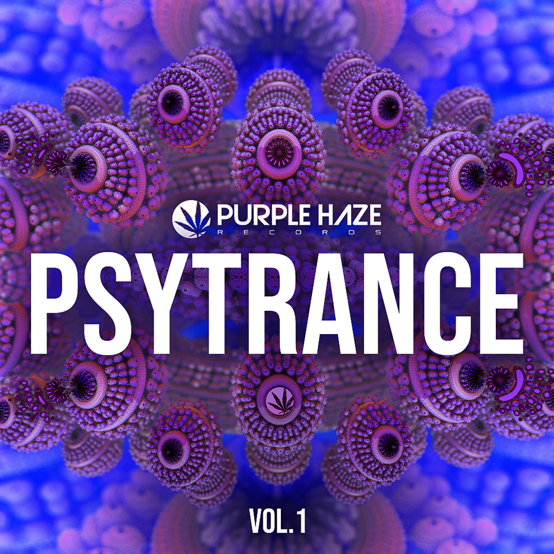 Постер альбома Purple Haze Psytrance, Vol. 1