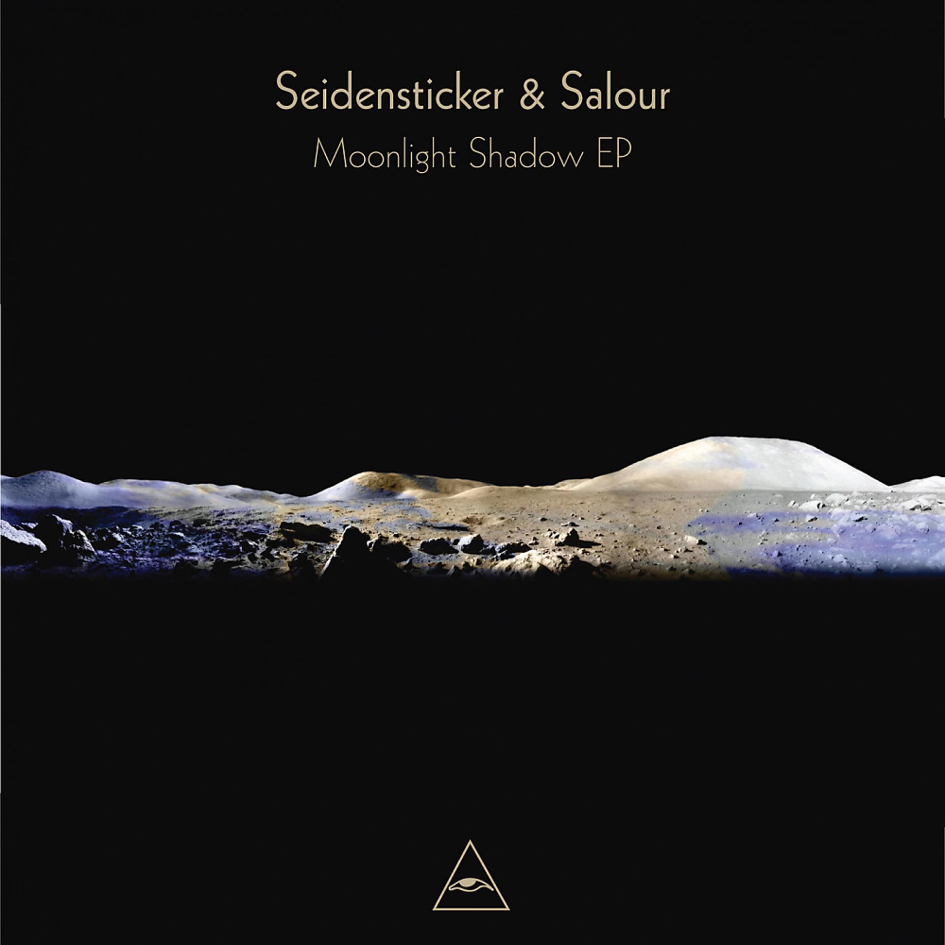 Постер альбома Moonlight Shadow EP