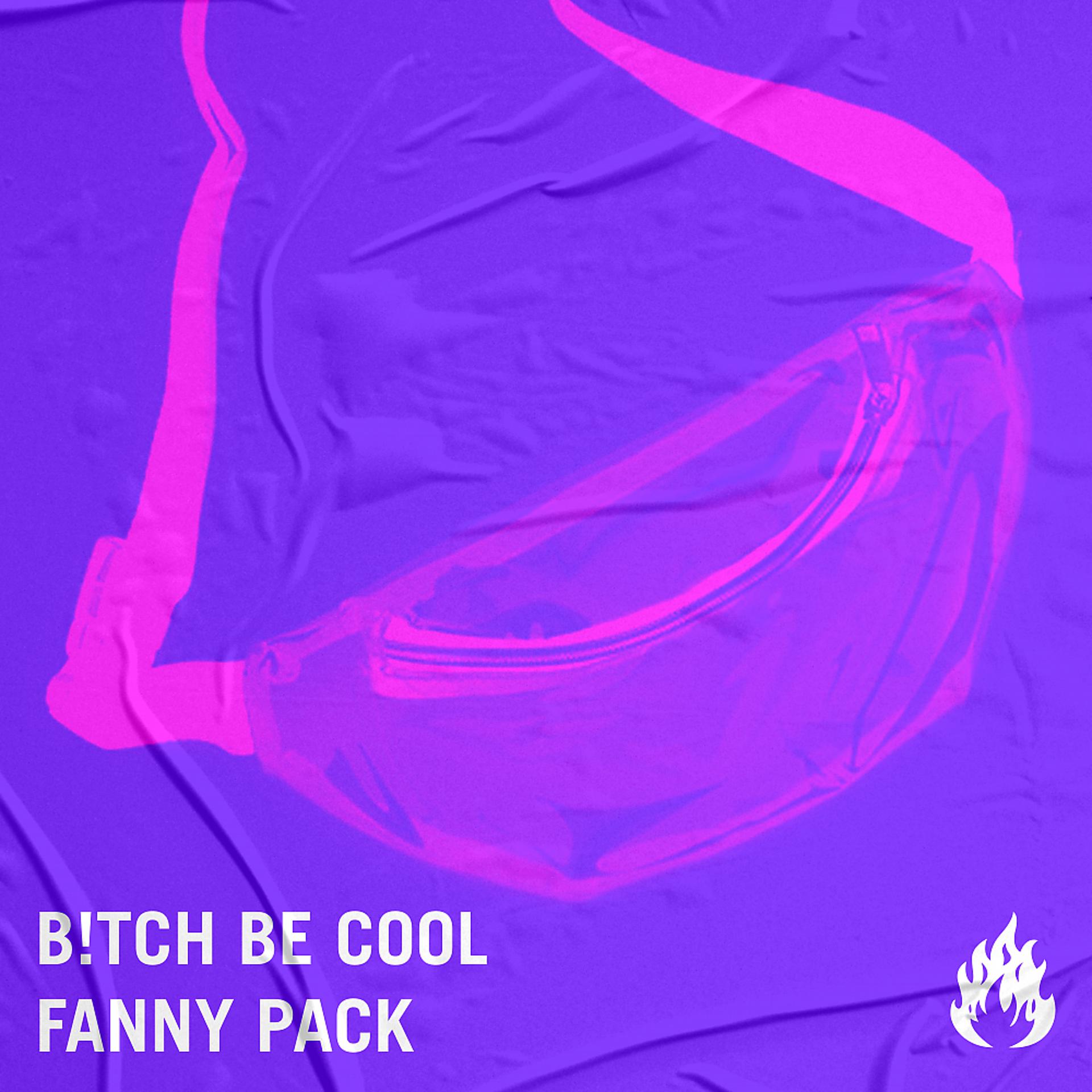 Постер альбома Fanny Pack