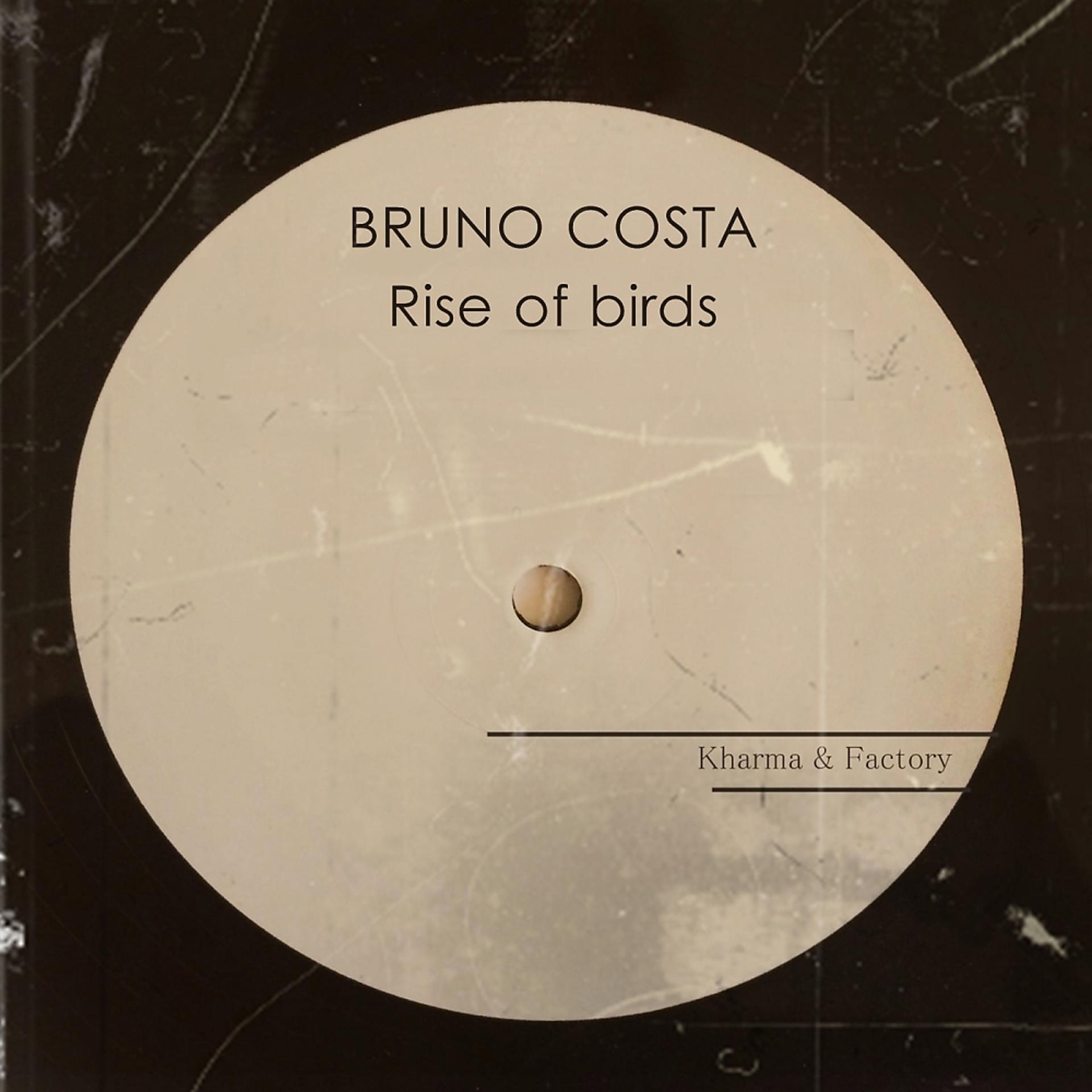 Постер альбома Rise of Birds